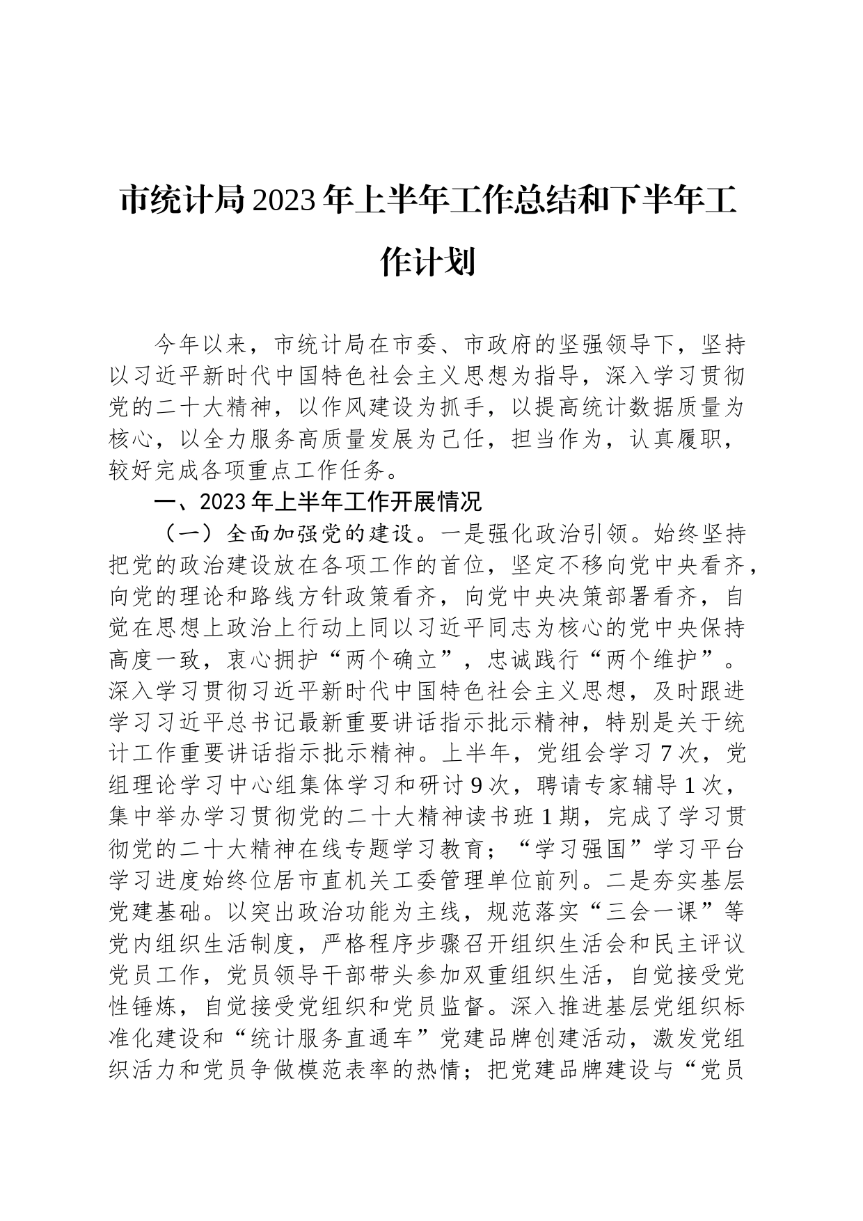 市统计局2023年上半年工作总结和下半年工作计划（20230808）_第1页