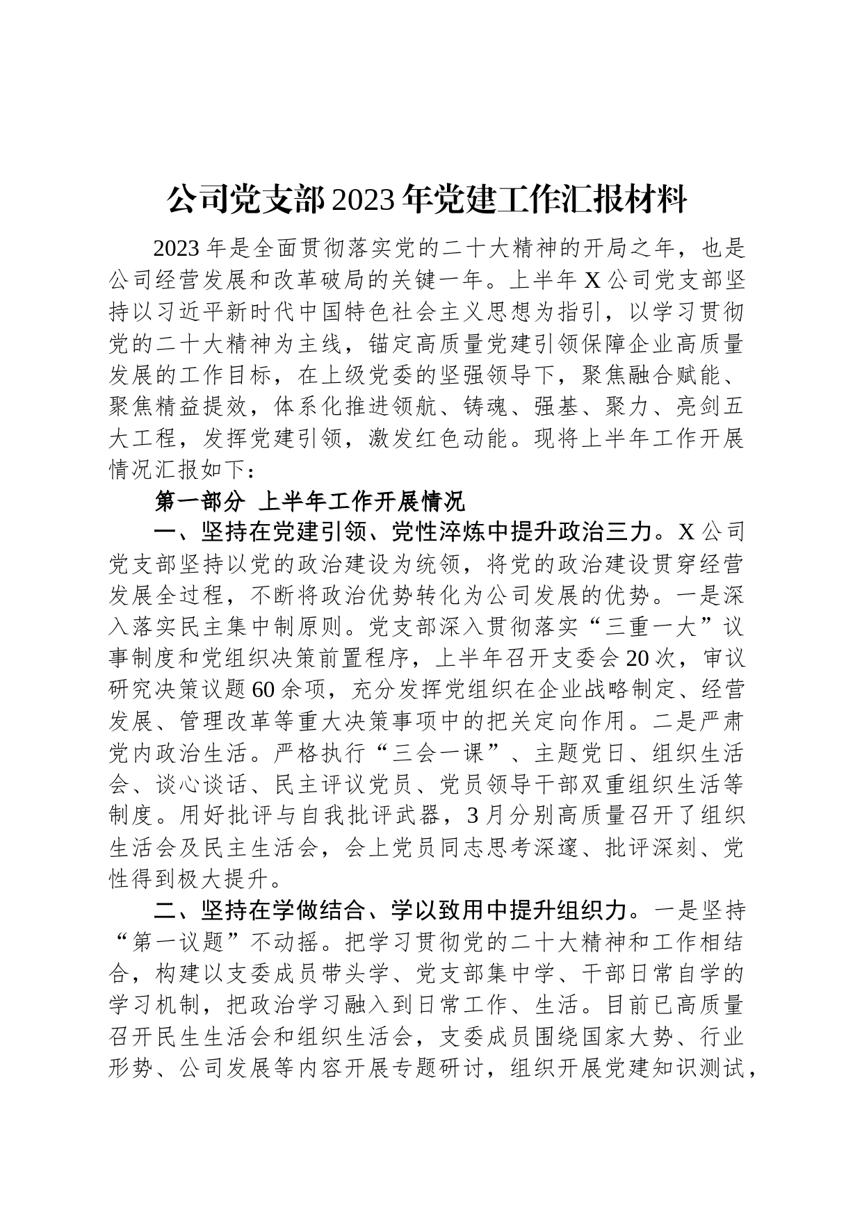 公司党支部2023年党建工作汇报材料_第1页