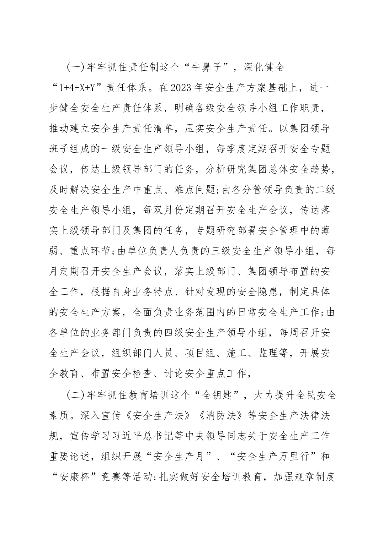 2023年安全生产工作方案_第2页
