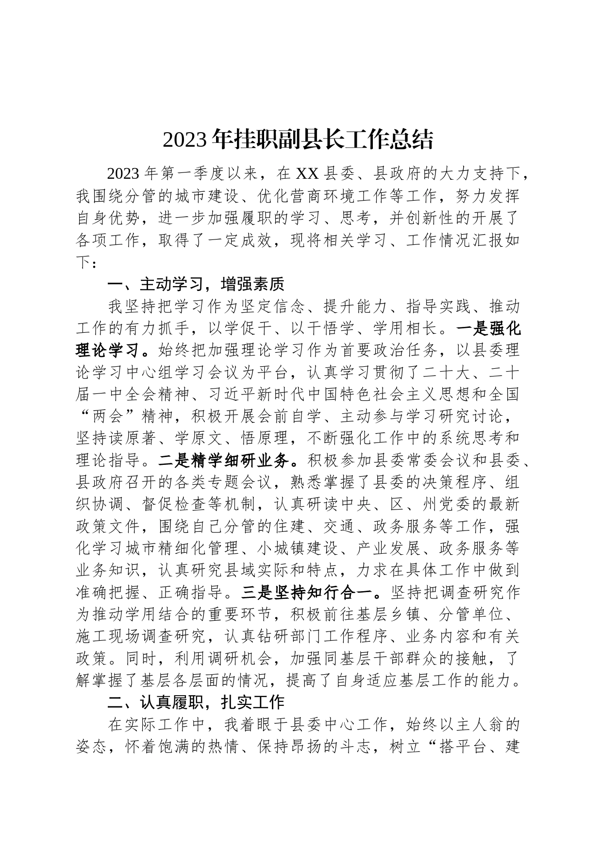 2023年挂职副县长工作总结_第1页