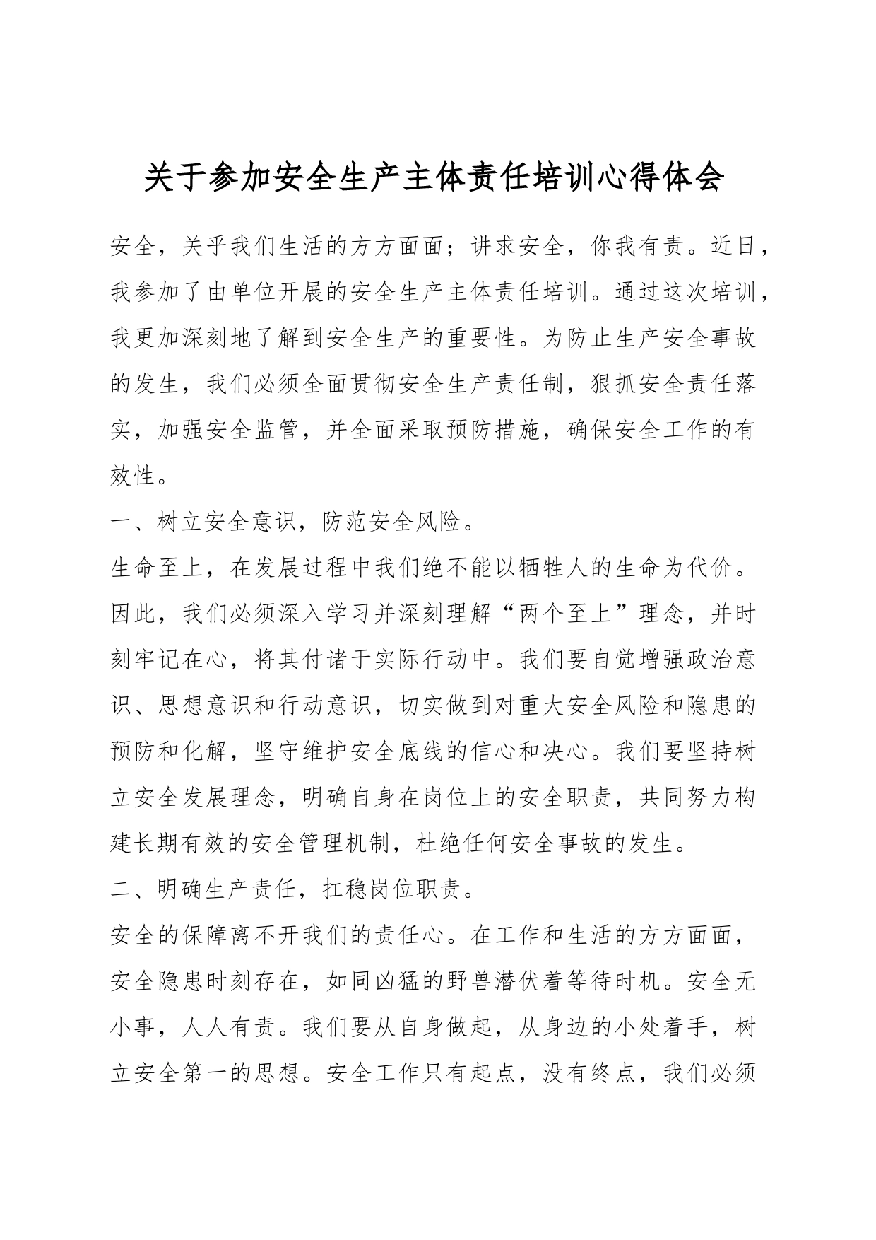 关于参加安全生产主体责任培训心得体会_第1页