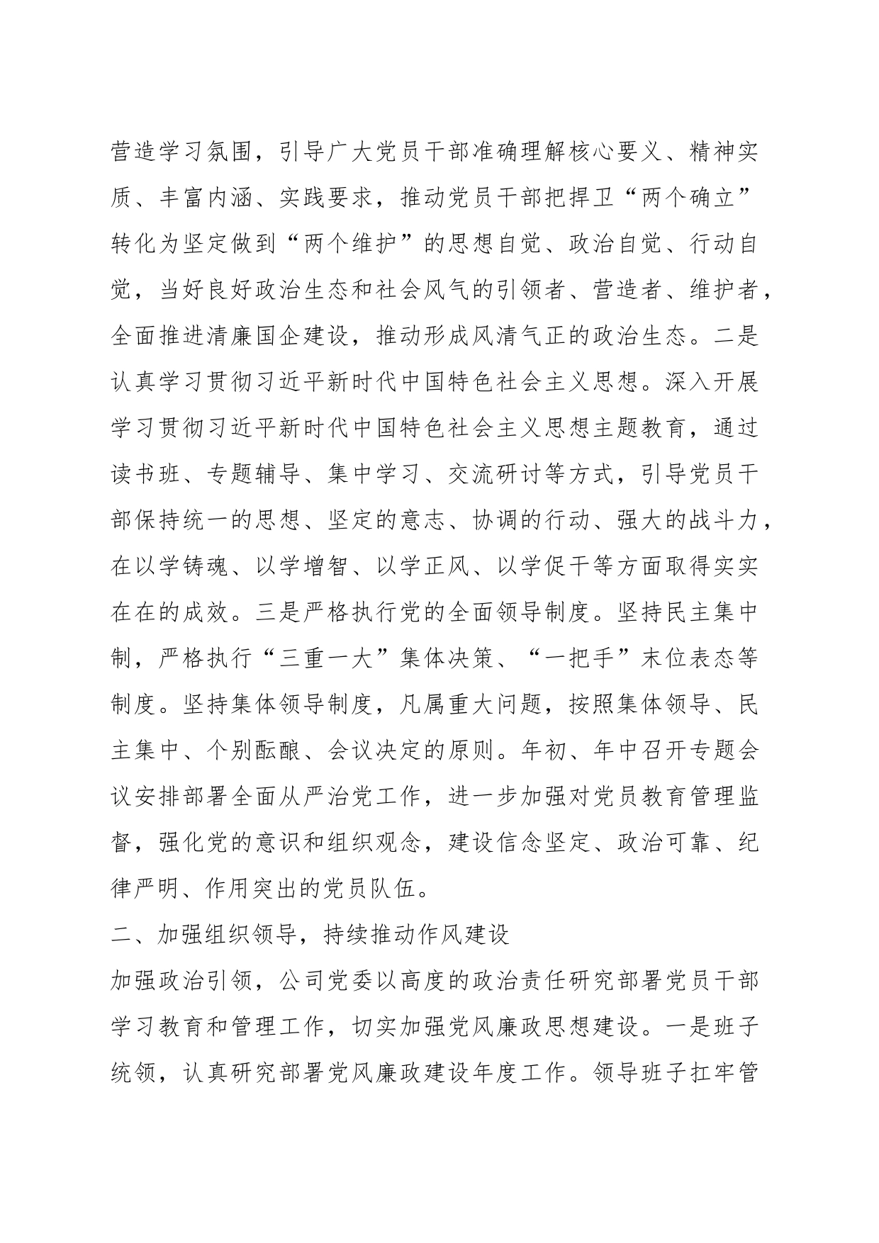 XX公司2023年落实主体责任工作总结_第2页