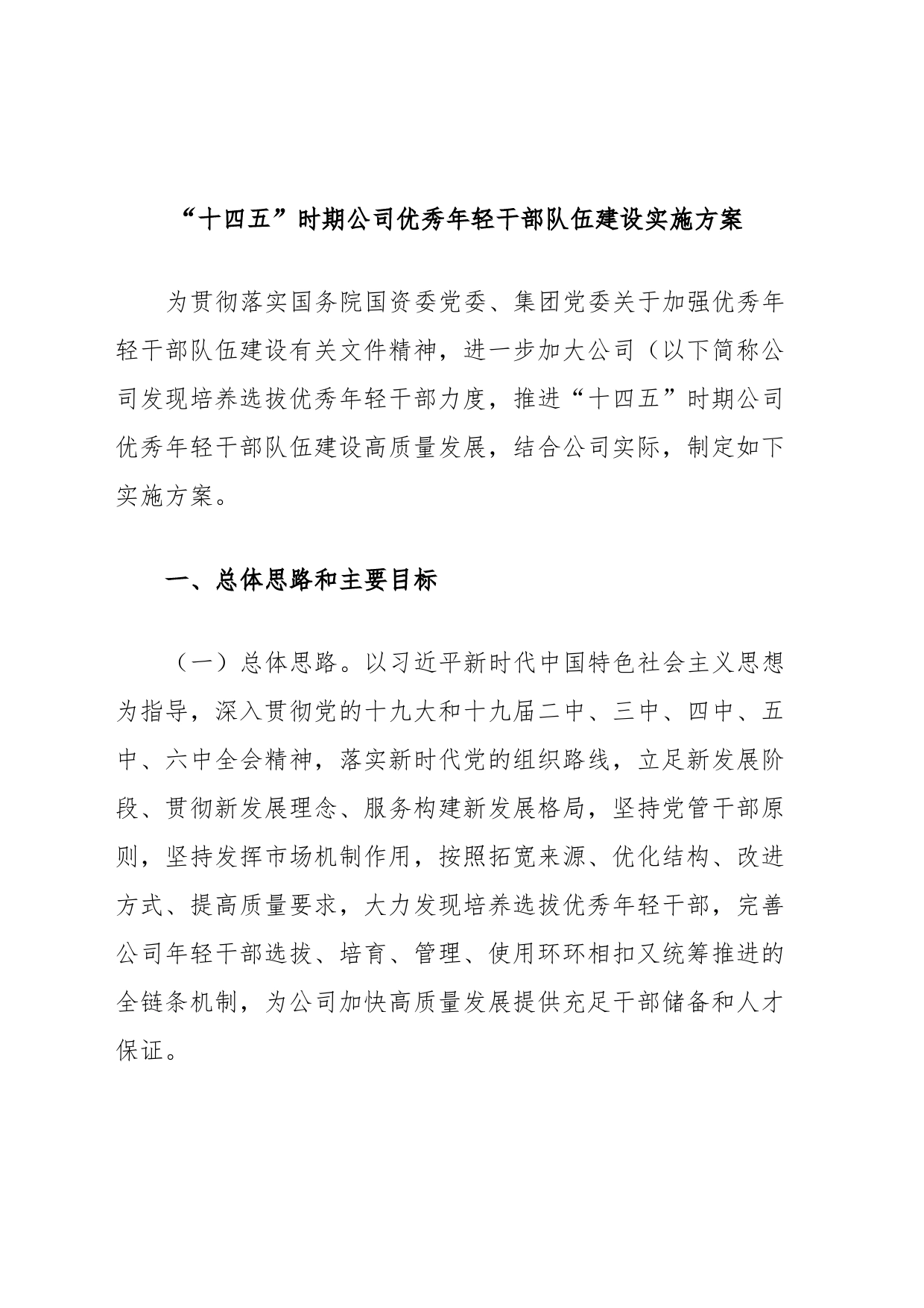 “十四五”时期公司优秀年轻干部队伍建设实施方案_第1页