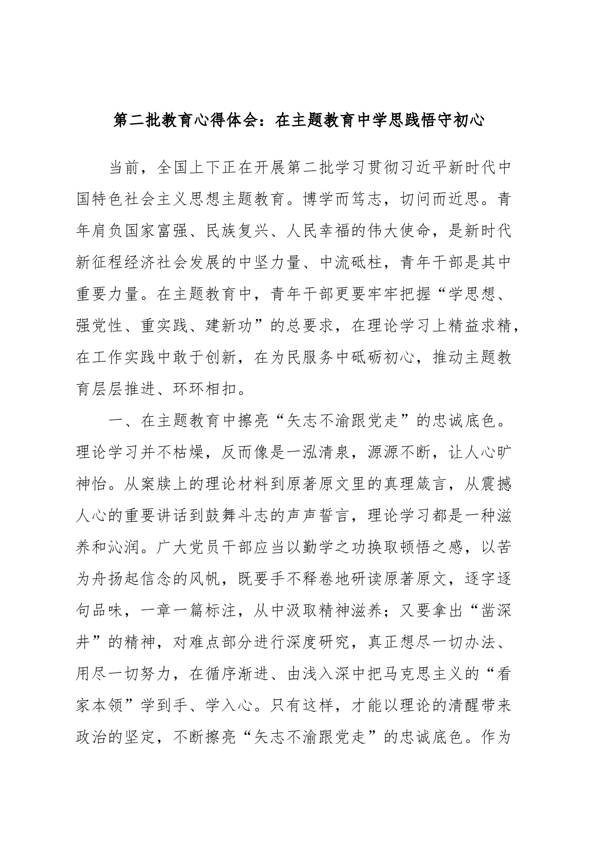 第二批教育心得体会：在主题教育中学思践悟守初心_第1页