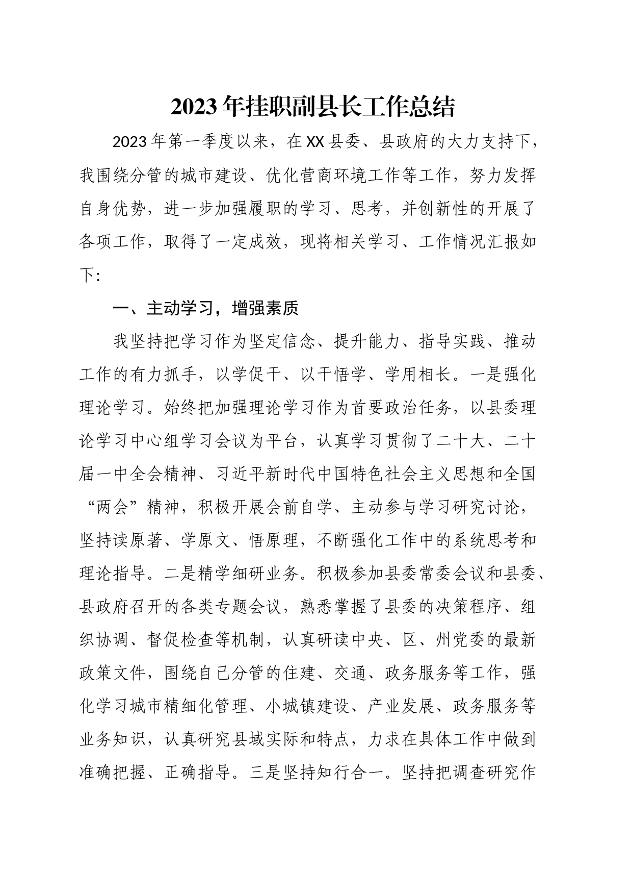 2023年挂职副县长工作总结_第1页