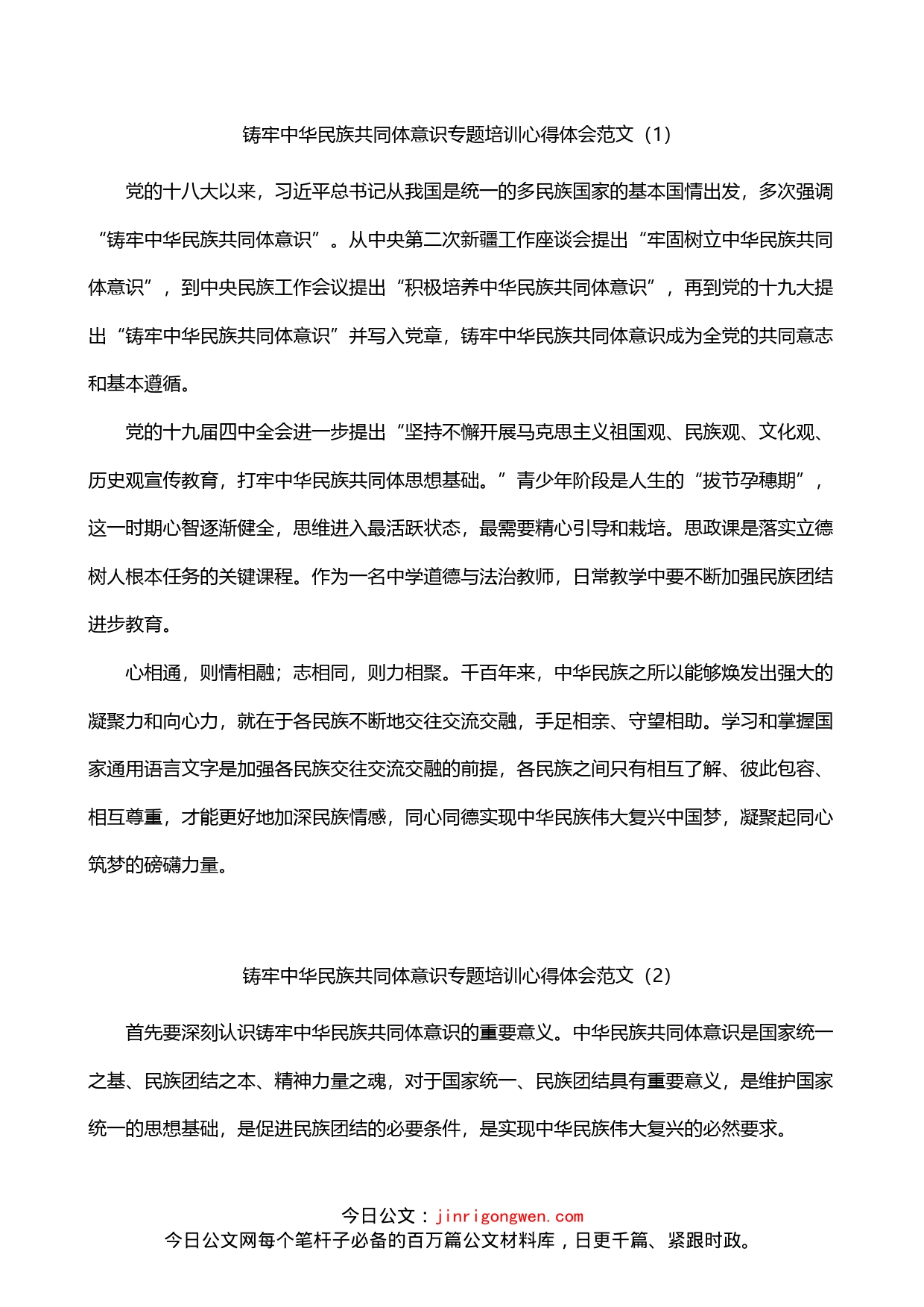 铸牢民族共同体意识培训心得体会3篇_第1页