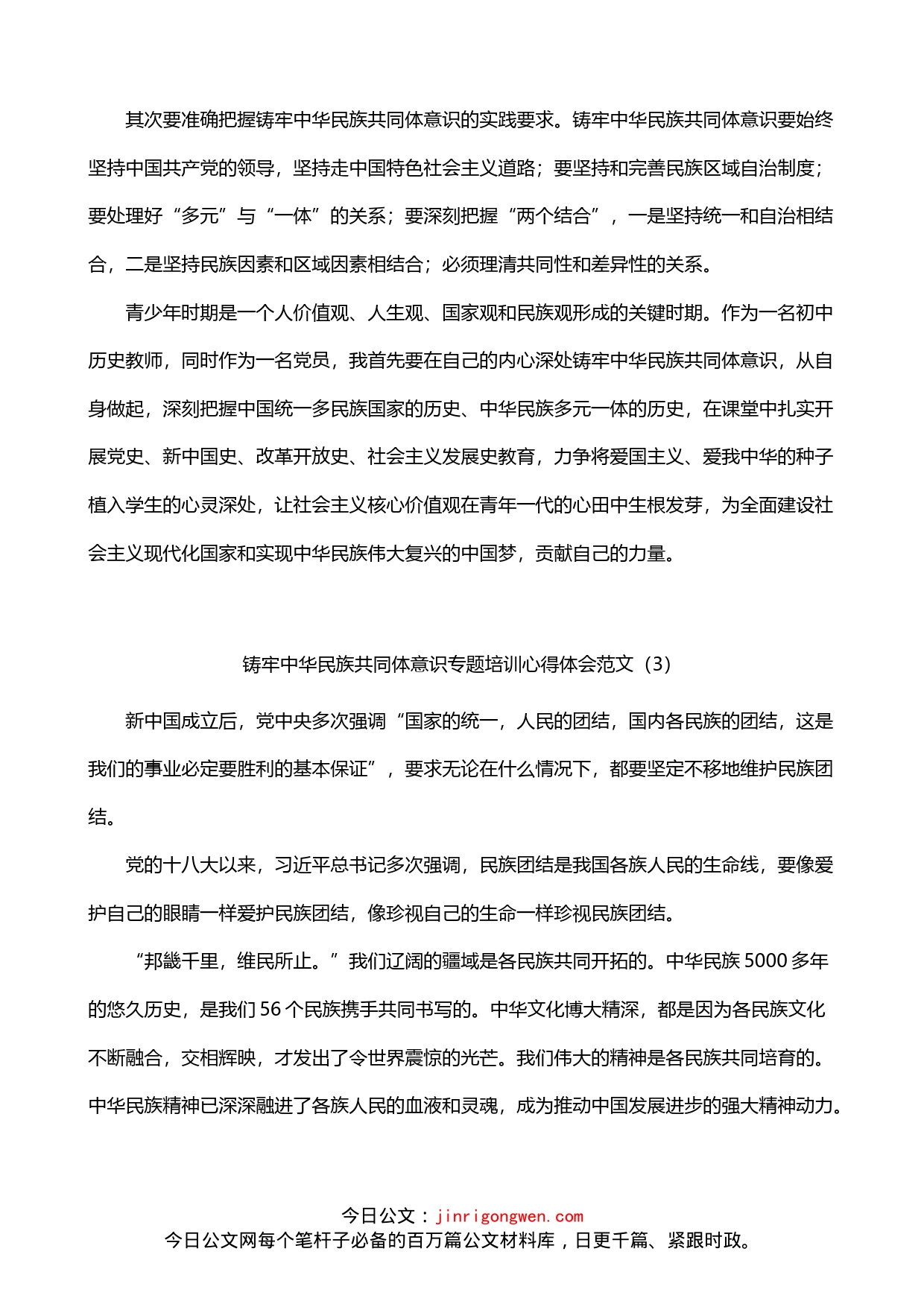 铸牢民族共同体意识培训心得体会3篇_第2页