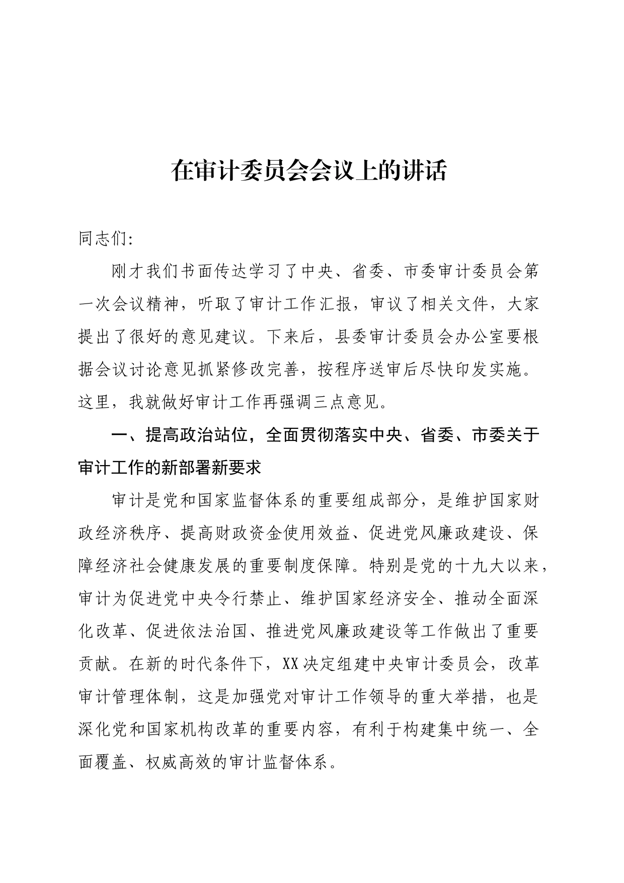 在审计委员会会议上的讲话_第1页