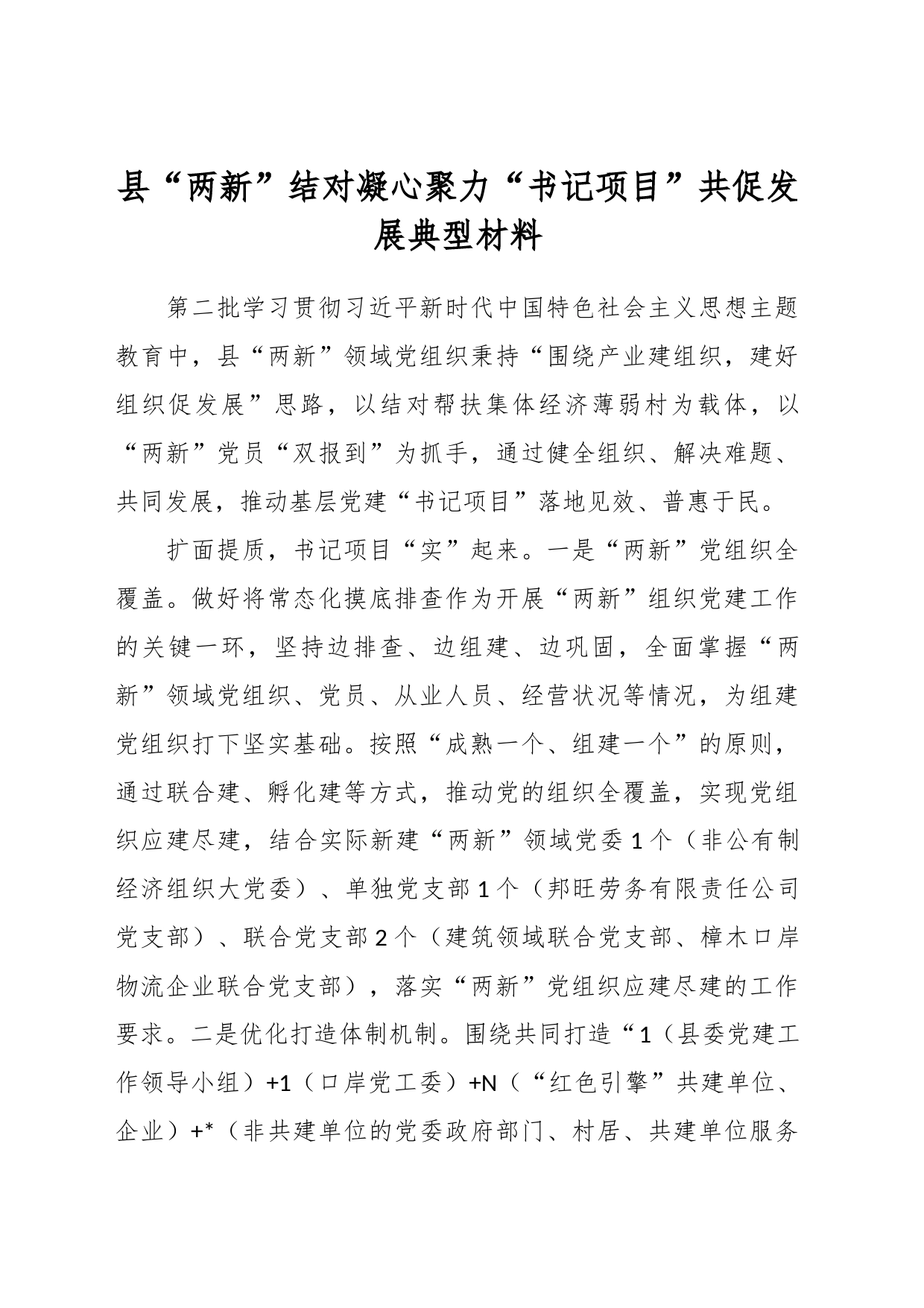 县“两新”结对凝心聚力“书记项目”共促发展典型材料_第1页