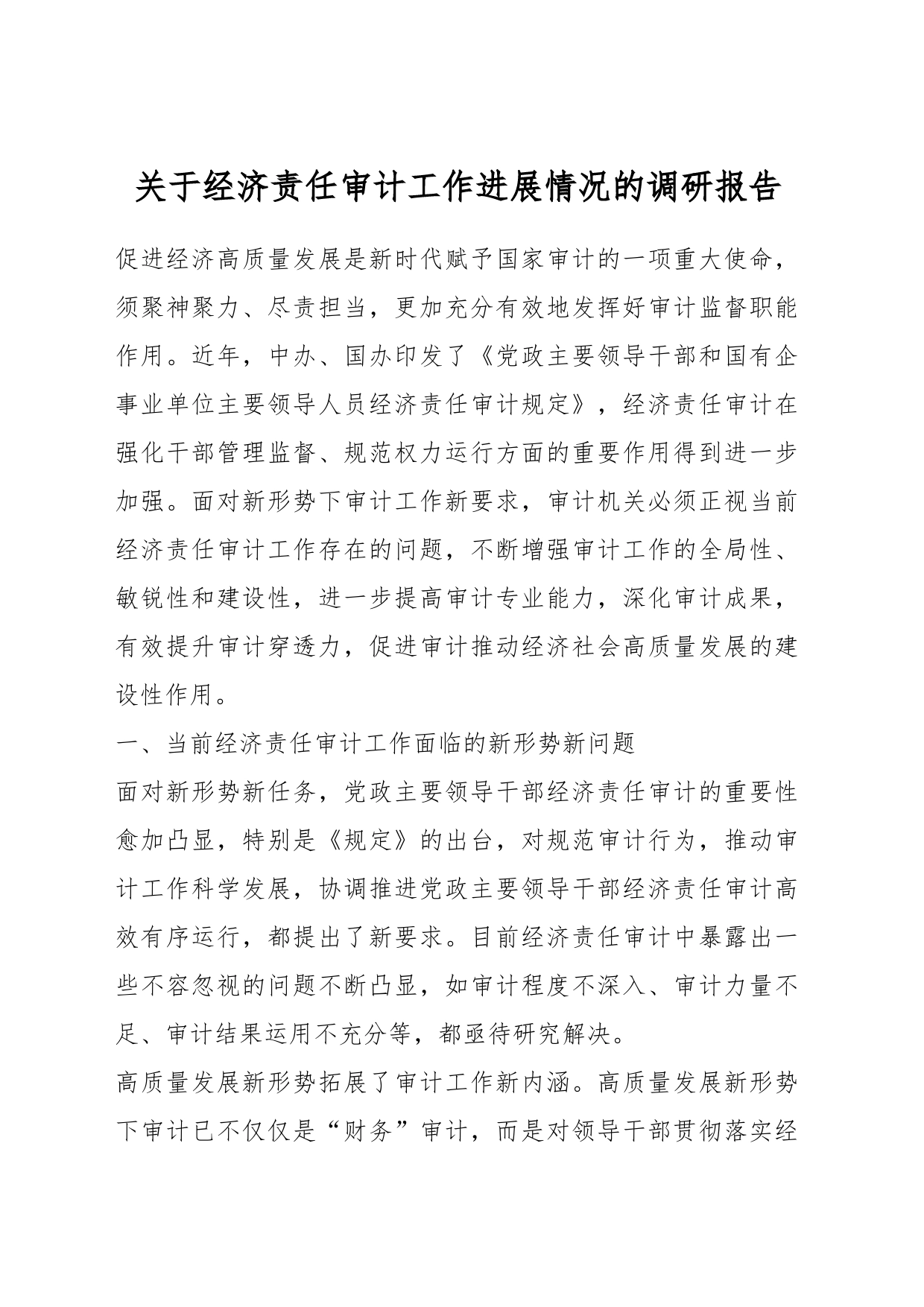 关于经济责任审计工作进展情况的调研报告_第1页