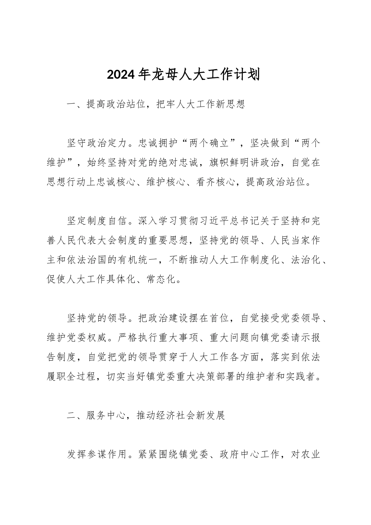 2024年龙母人大工作计划_第1页