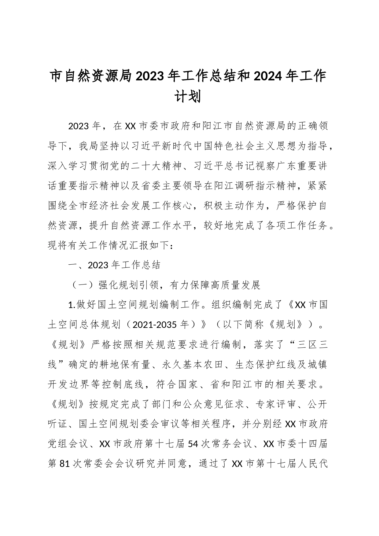 市自然资源局2023年工作总结和2024年工作计划_第1页