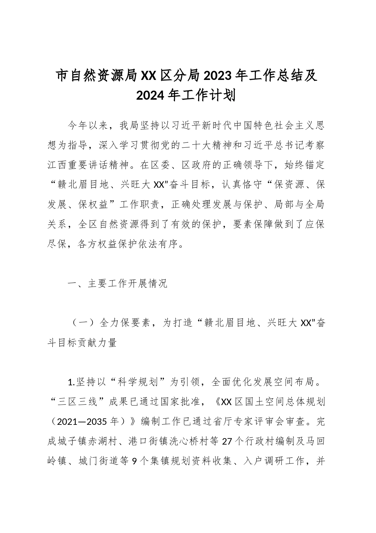 市自然资源局XX区分局2023年工作总结及2024年工作计划_第1页
