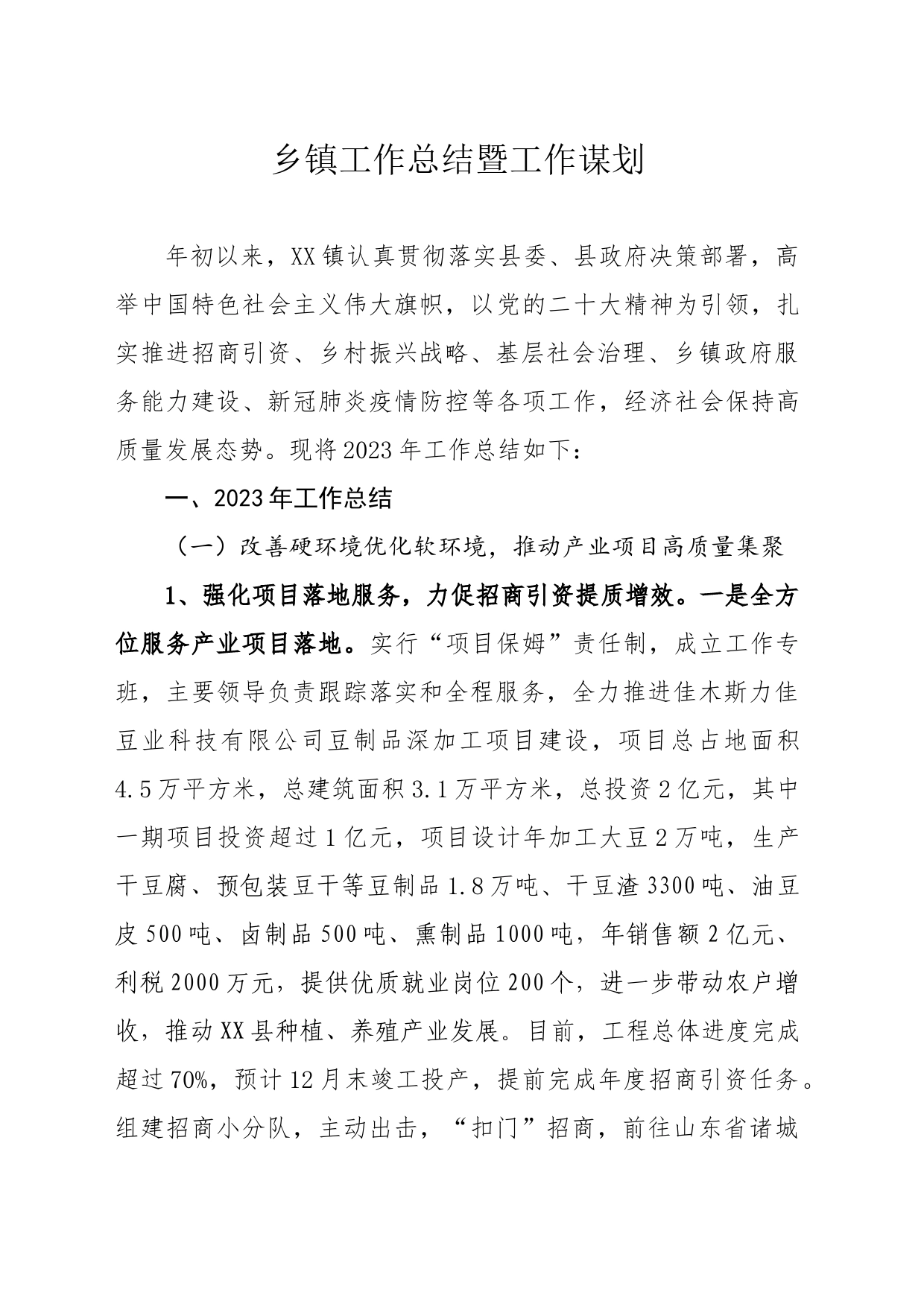 乡镇街道工作总结_第1页