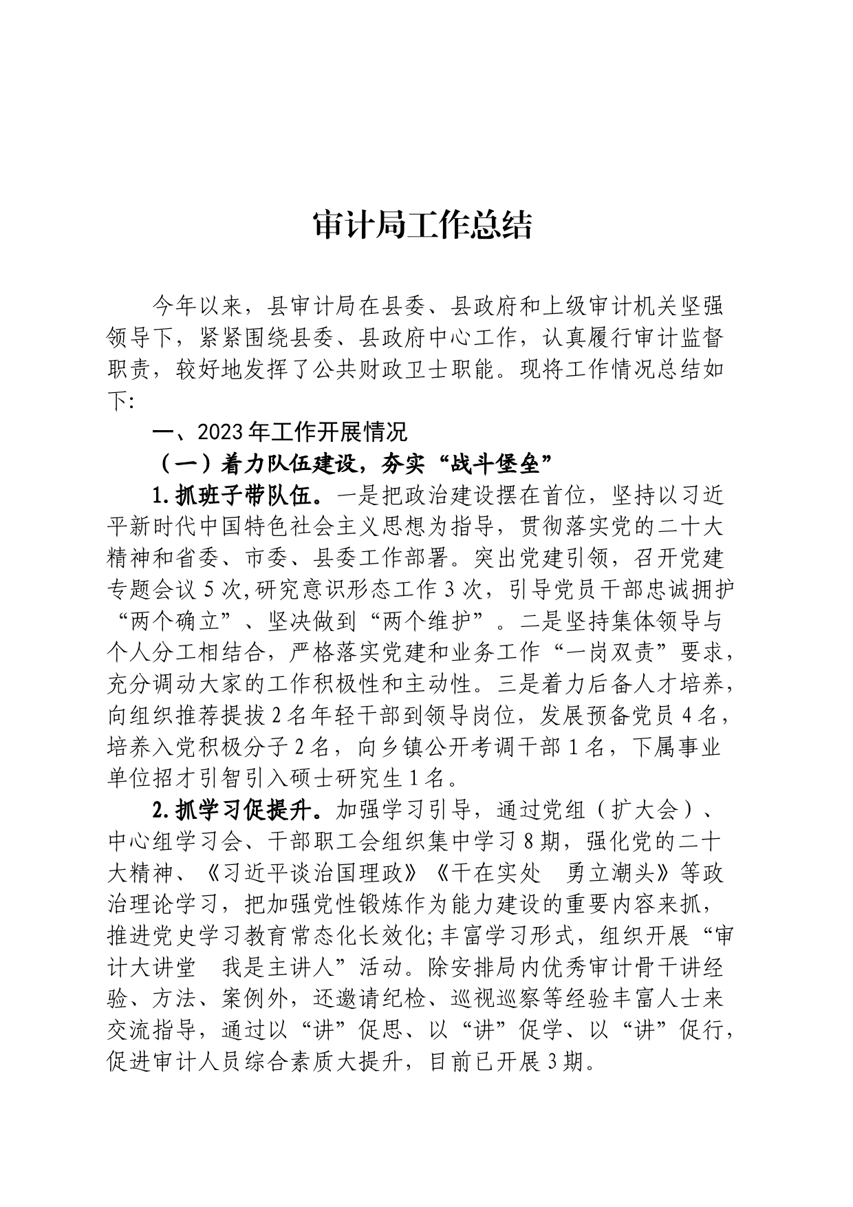 审计局工作总结_第1页