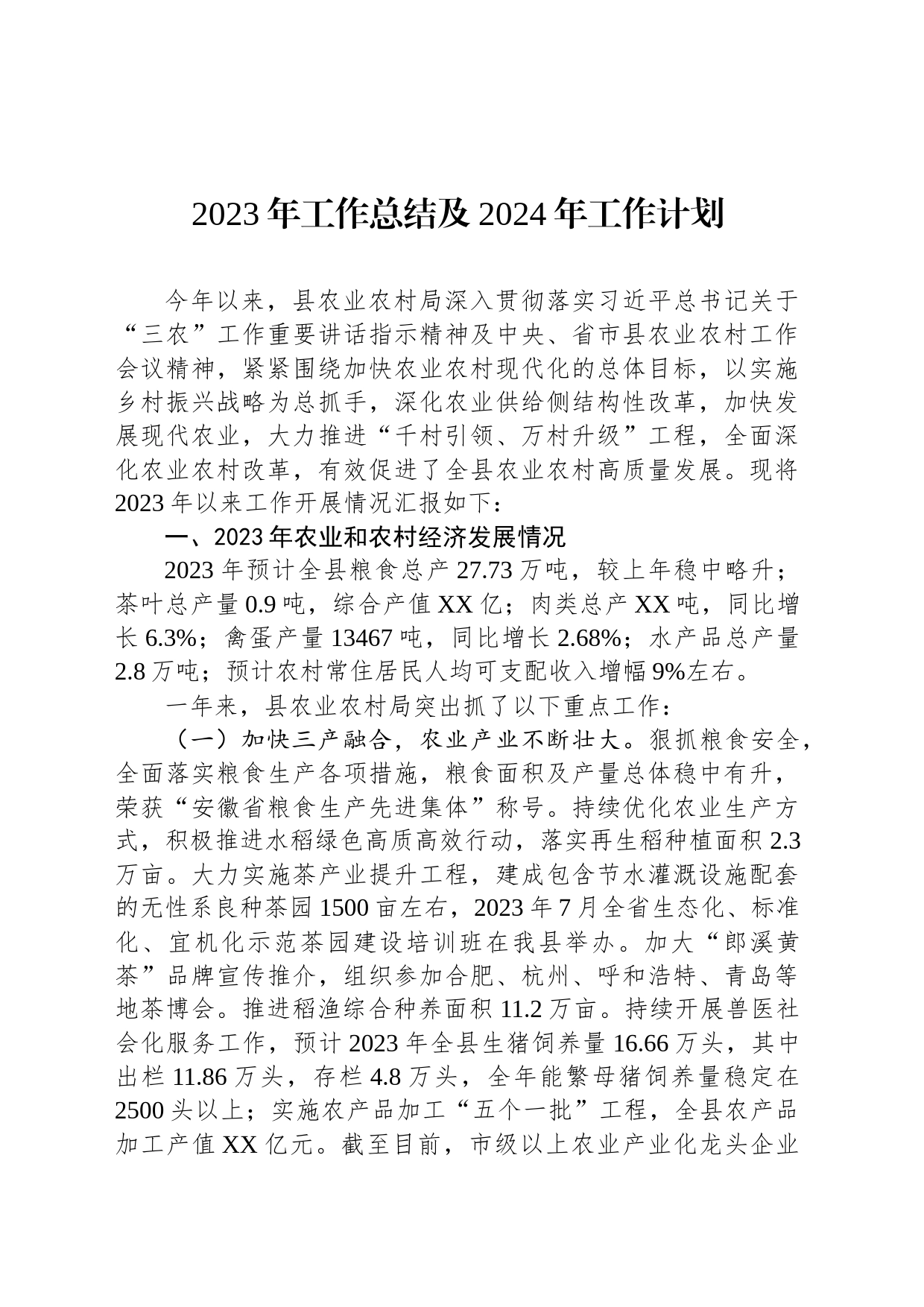 2023年工作总结及2024年工作计划（20240102）_第1页