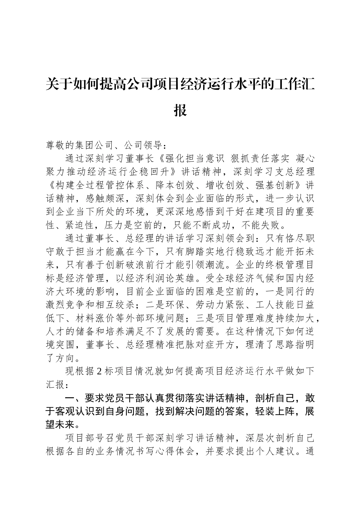 关于如何提高公司项目经济运行水平的工作汇报_第1页