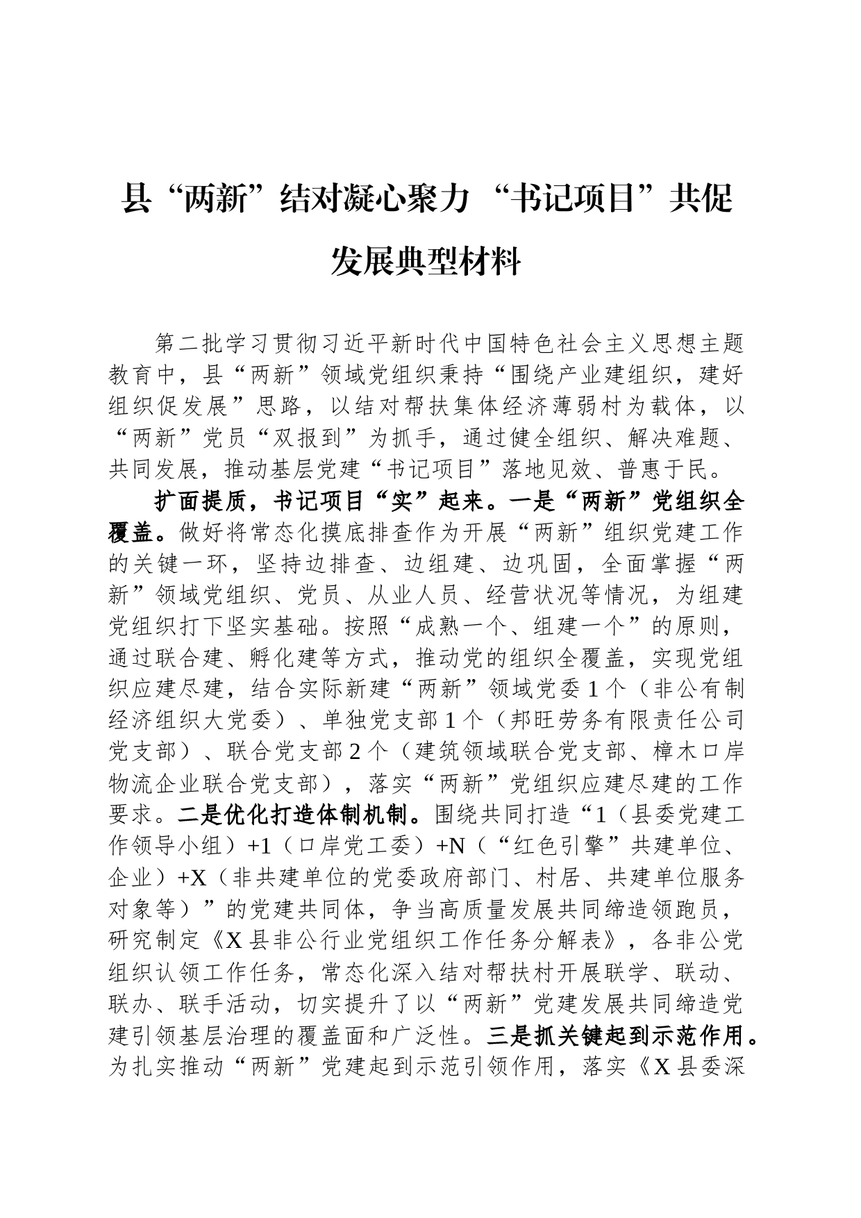 县“两新”结对凝心聚力 “书记项目”共促发展典型材料_第1页