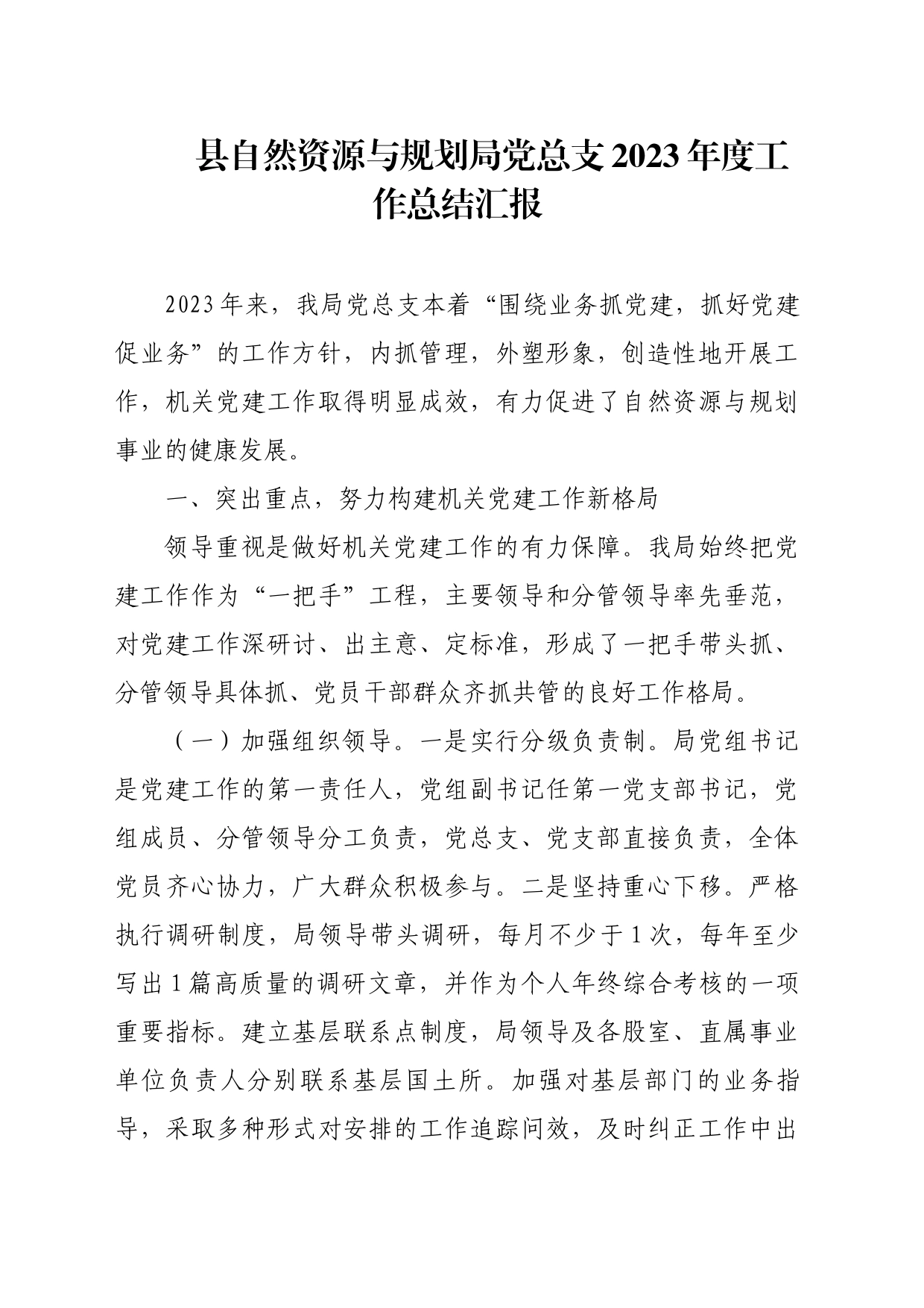 县自然资源与规划局党总支2023年度工作总结汇报_第1页
