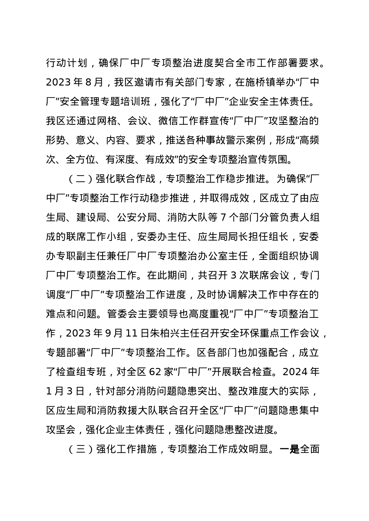 20231227厂中厂专项整治工作总结_第2页