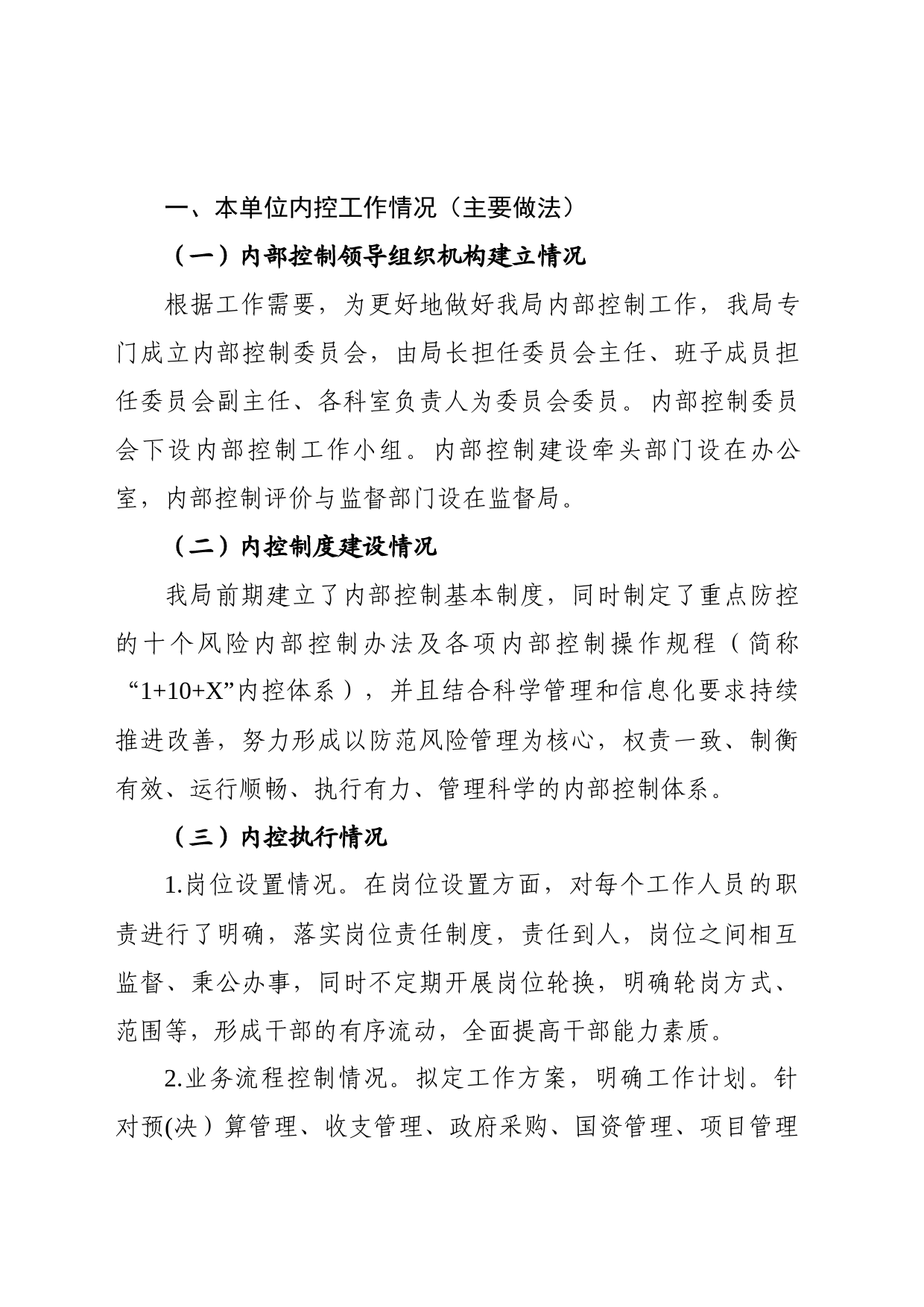 内控执行情况自查报告_第1页
