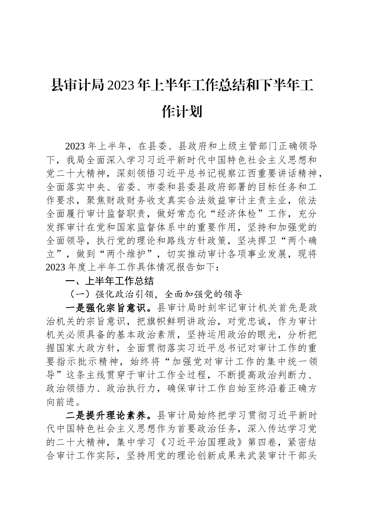县审计局2023年上半年工作总结和下半年工作计划_第1页