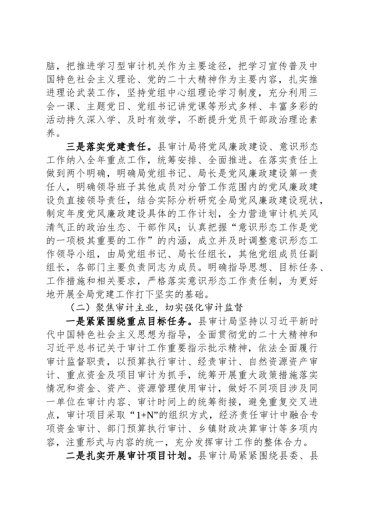 县审计局2023年上半年工作总结和下半年工作计划_第2页