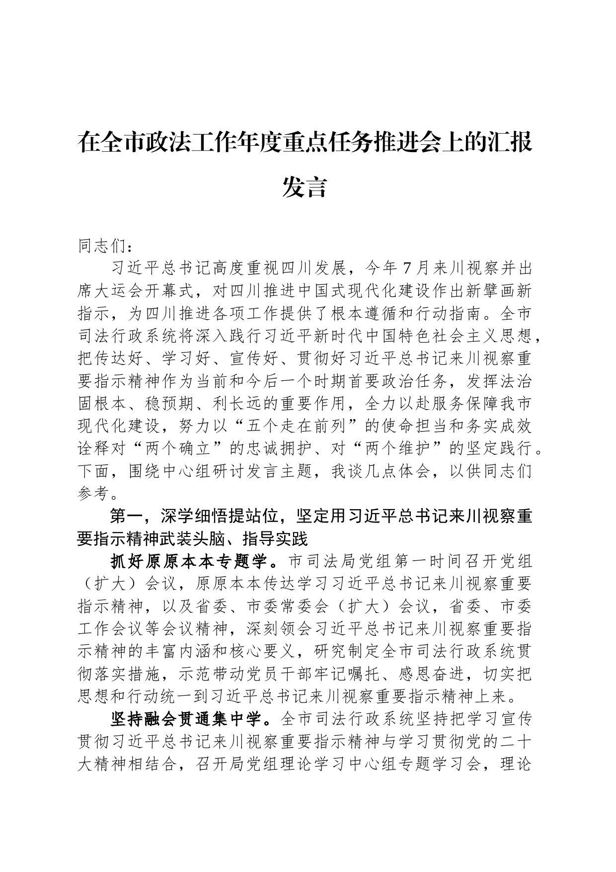 在全市政法工作年度重点任务推进会上的汇报发言_第1页