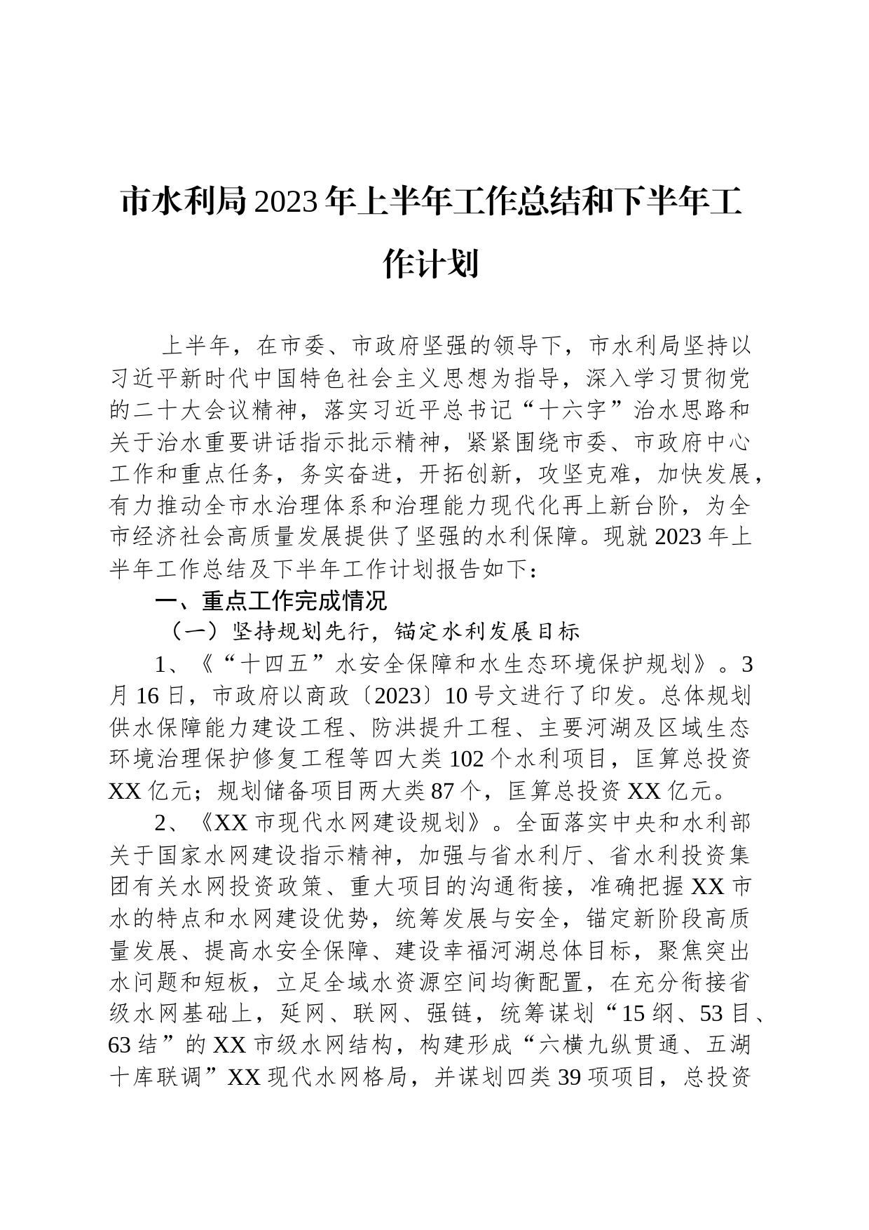 市水利局2023年上半年工作总结和下半年工作计划_第1页