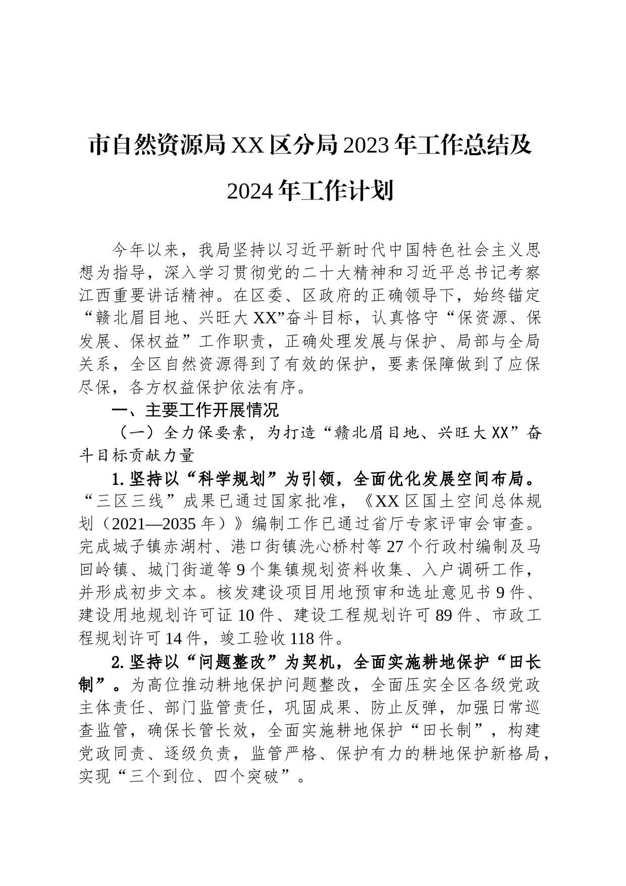 市自然资源局XX区分局2023年工作总结及2024年工作计划（20231221）_第1页