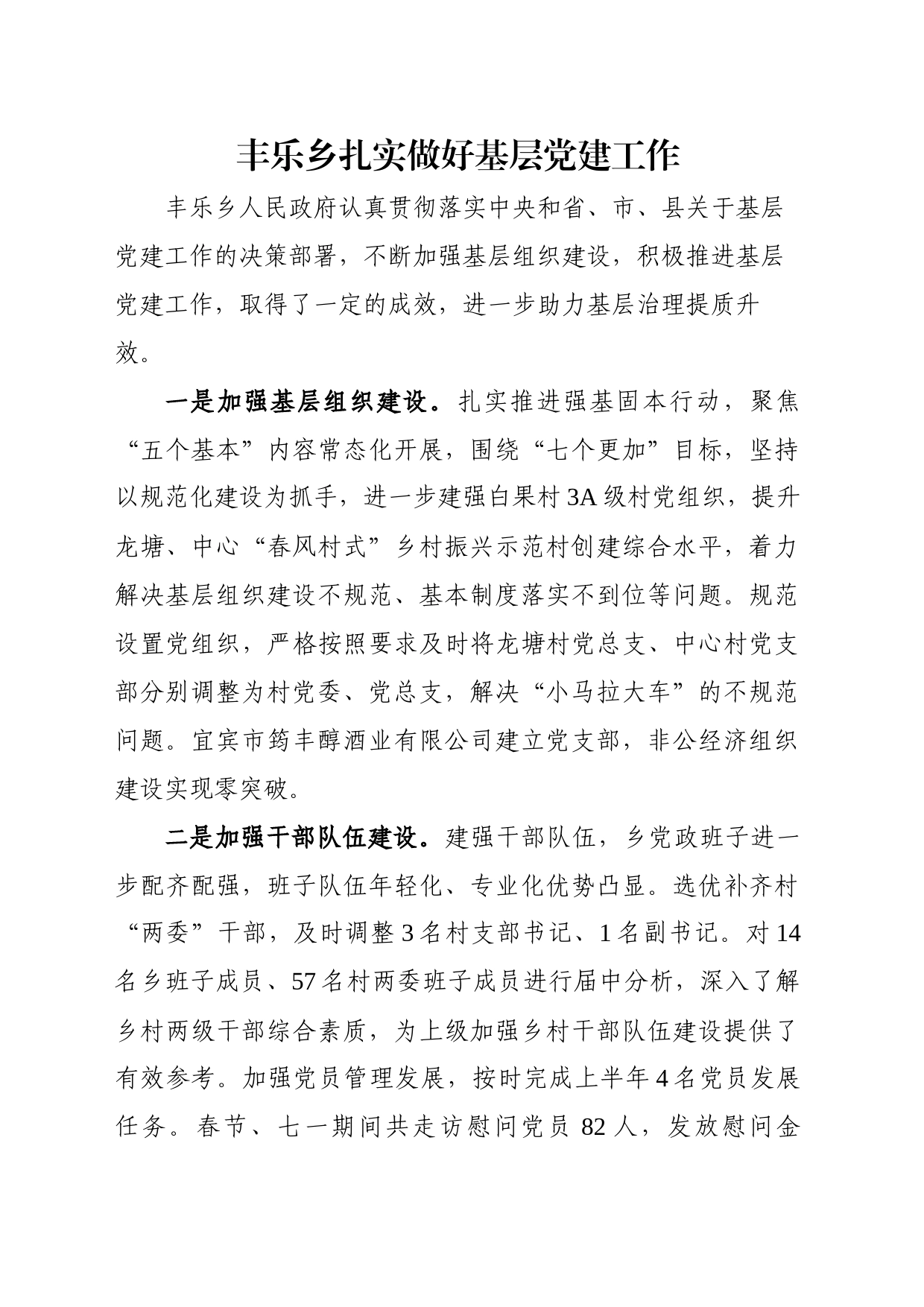 丰乐乡扎实做好基层党建工作_第1页