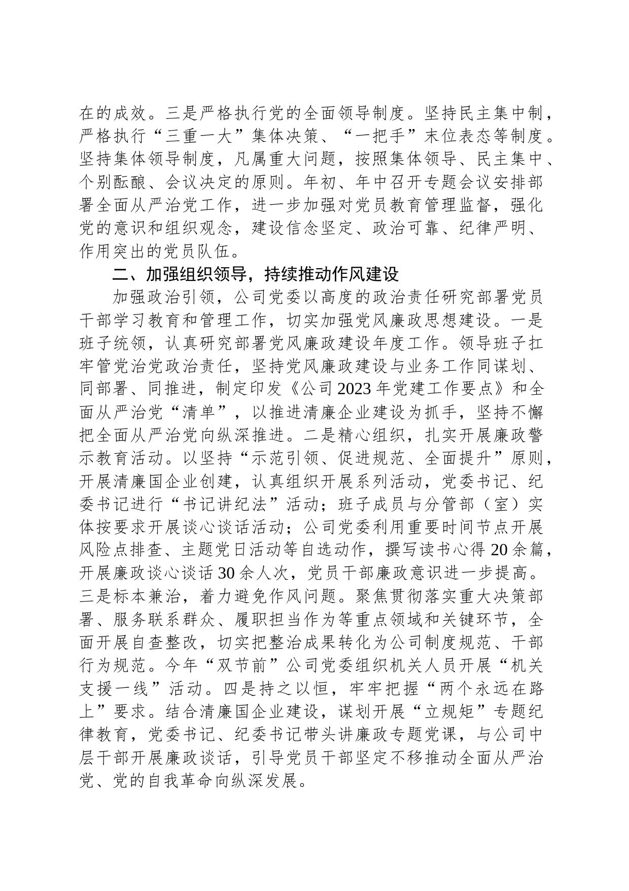 某公司2023年落实主体责任工作总结_第2页