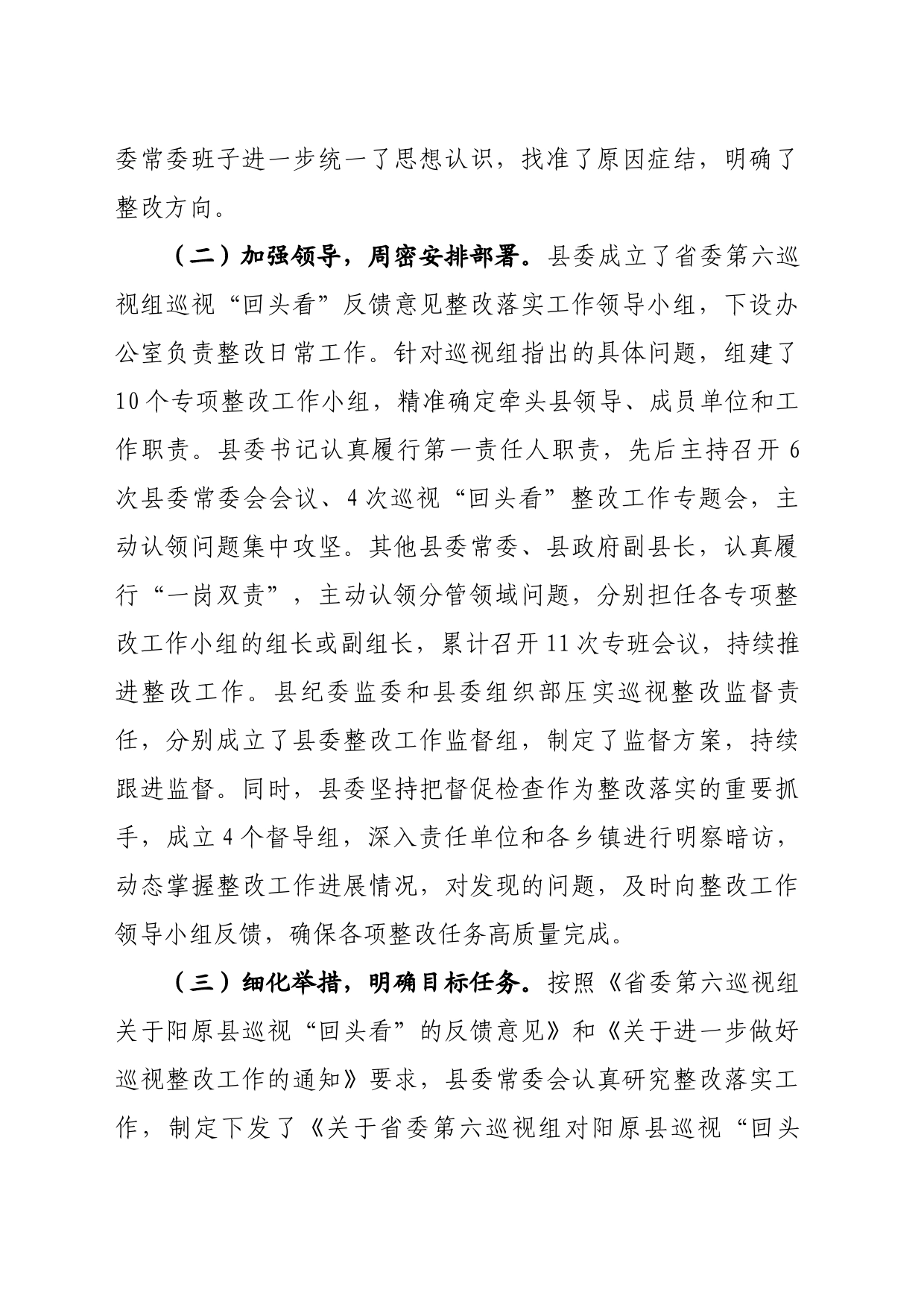 整改情况总结模板_第2页
