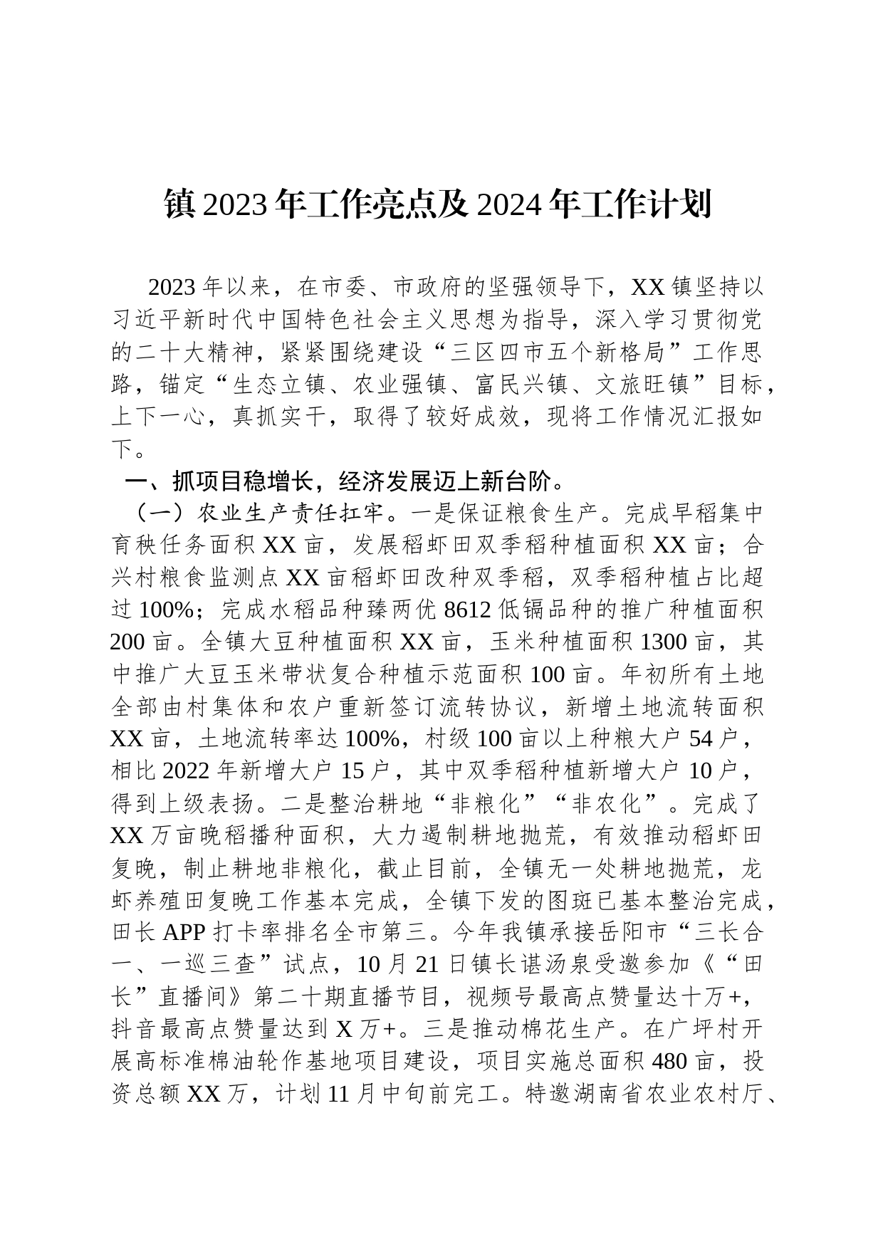 镇2023年工作亮点及2024年工作计划(20231201)_第1页