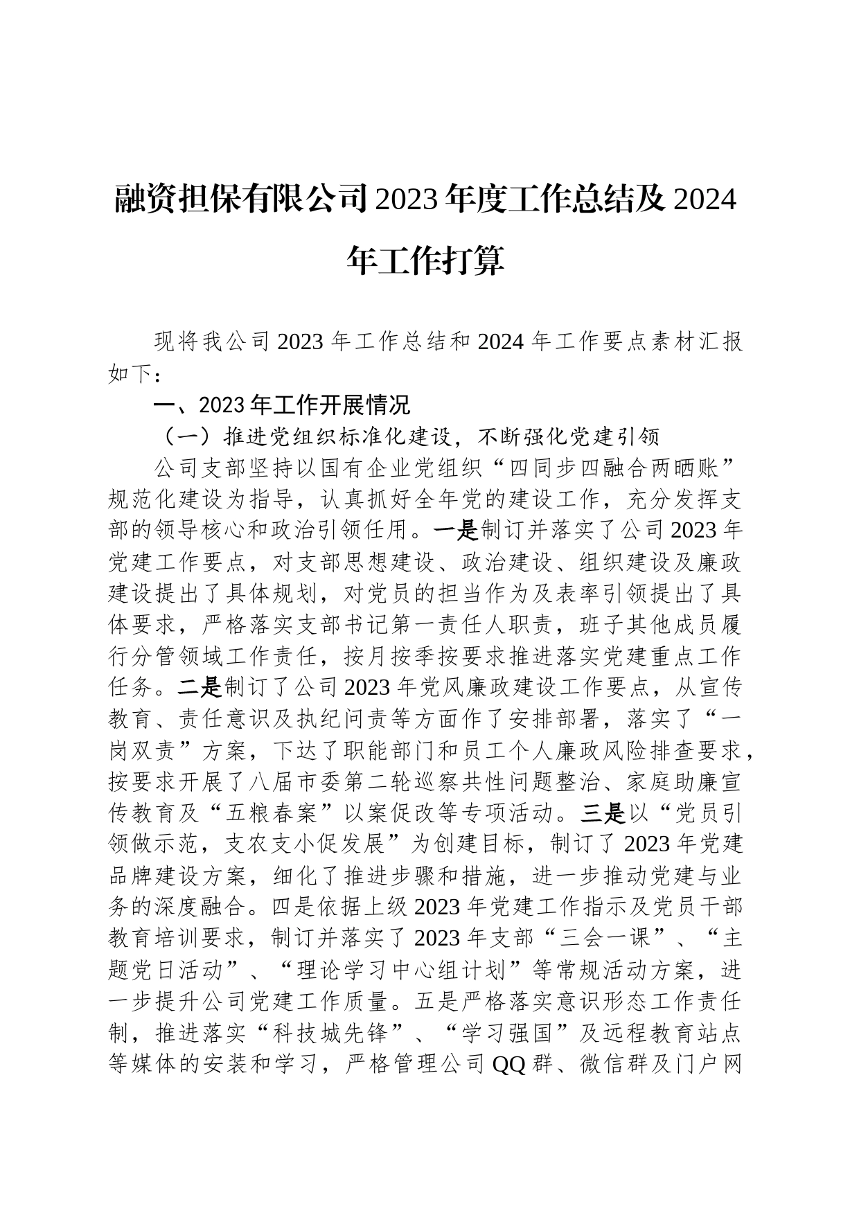 融资担保有限公司2023年度工作总结及2024年工作打算_第1页