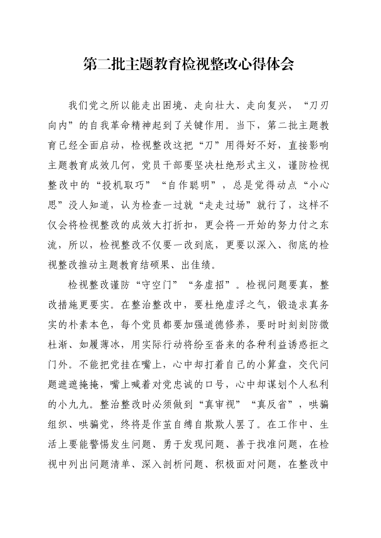 第二批主题教育检视整改心得体会_第1页