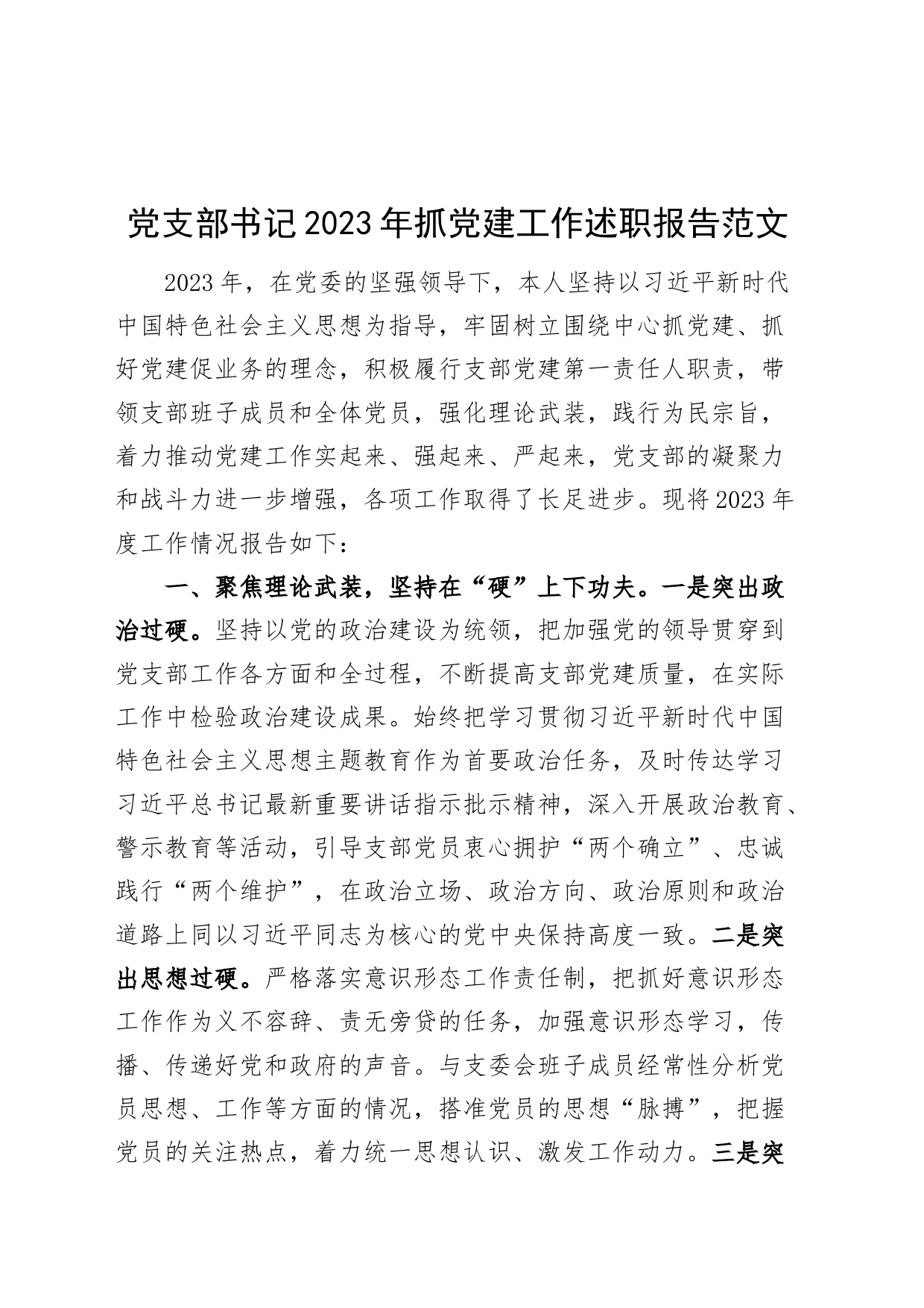 党支部书记2023年抓党建工作述职报告党的建设汇报总结_第1页