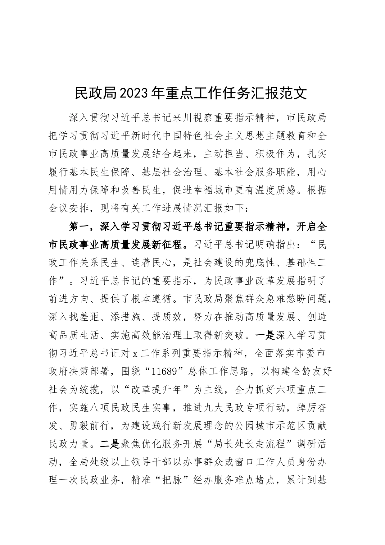2023年重点工作任务汇报局总结报告_第1页