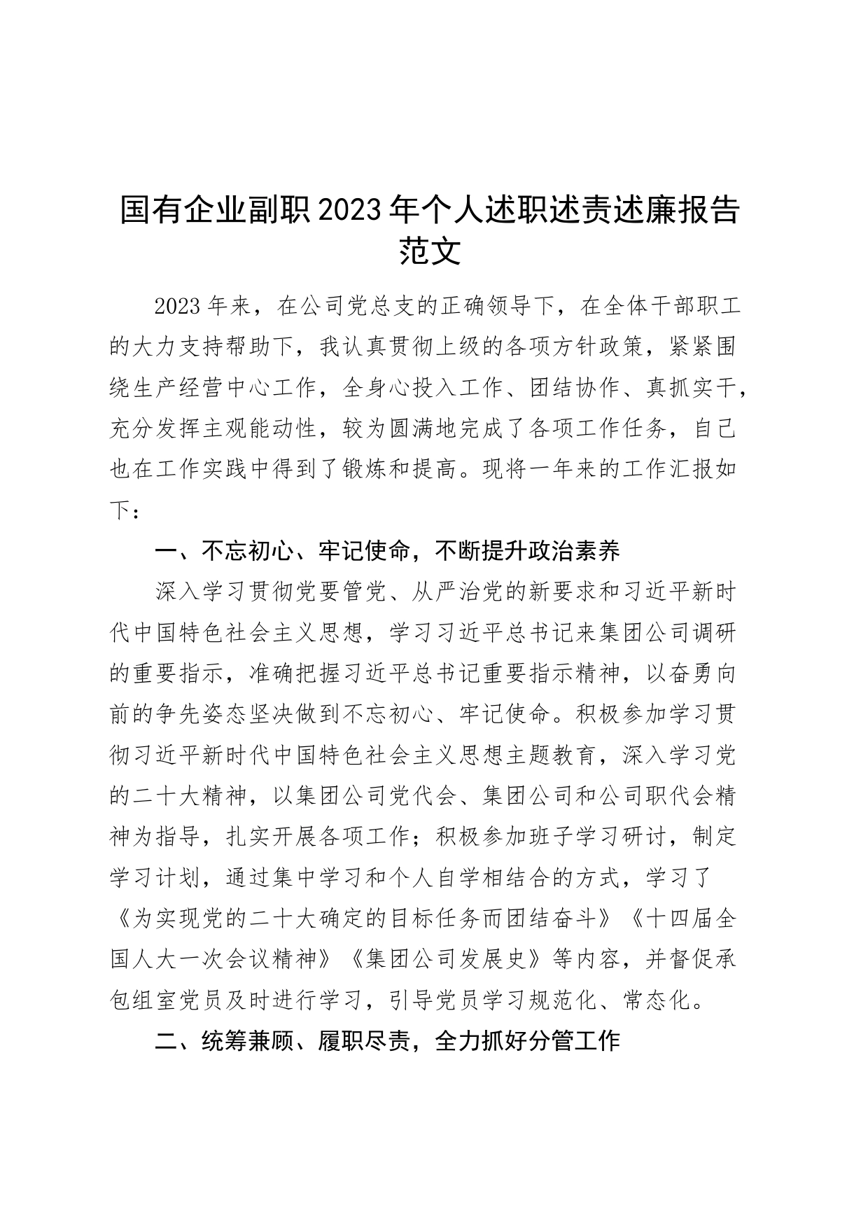 国有企业副职2023年个人述职述责述廉报告公司分管班子成员工作总结汇报_第1页