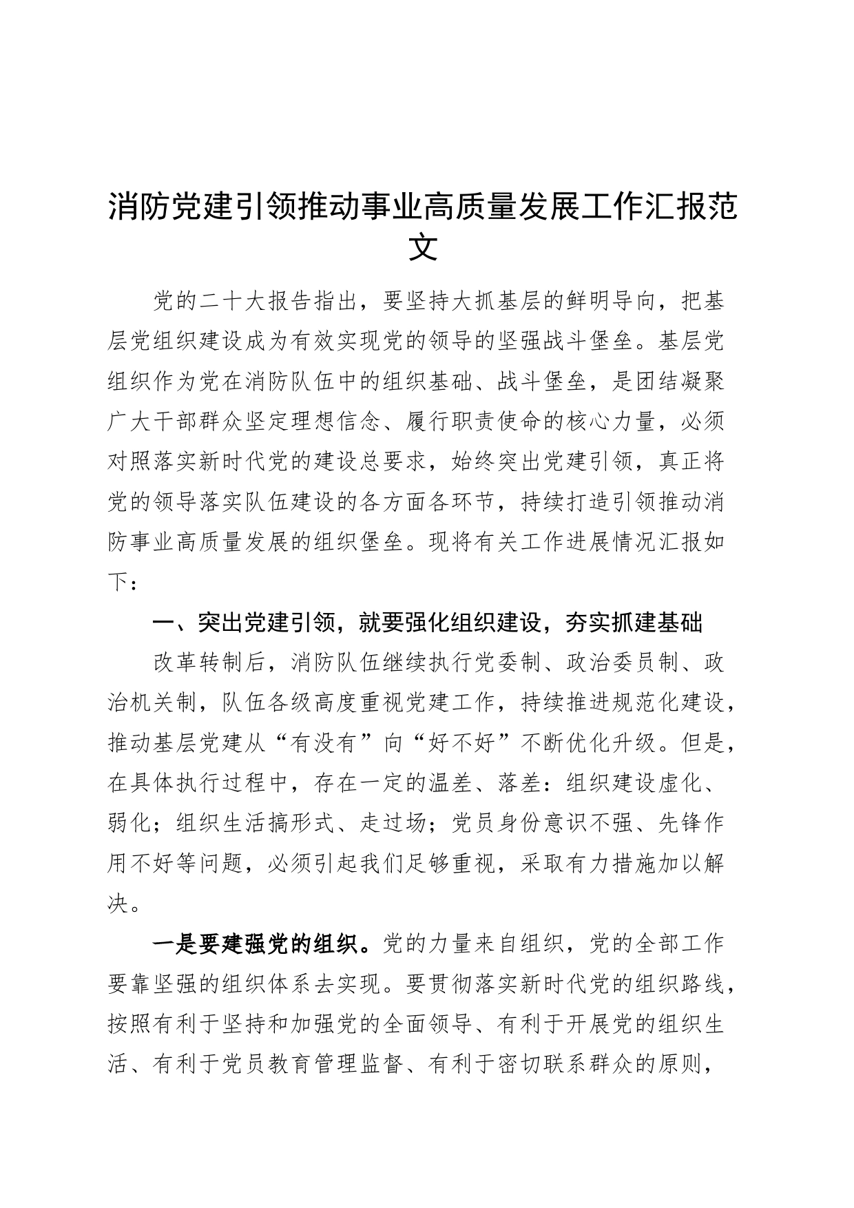 消防党建引领推动事业高质量发展工作汇报党建总结报告经验材料_第1页