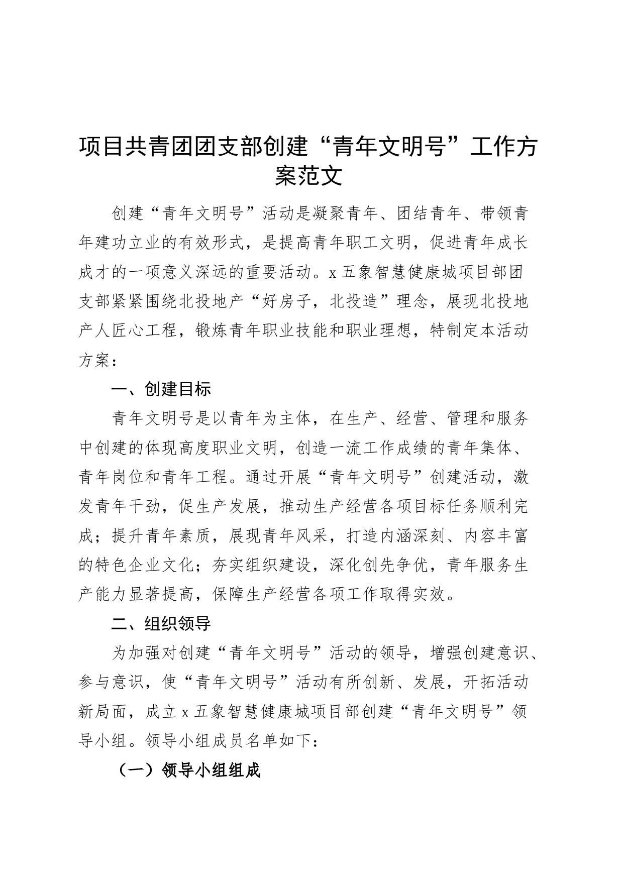 项目共青团团支部创建青年文明号工作方案实施_第1页