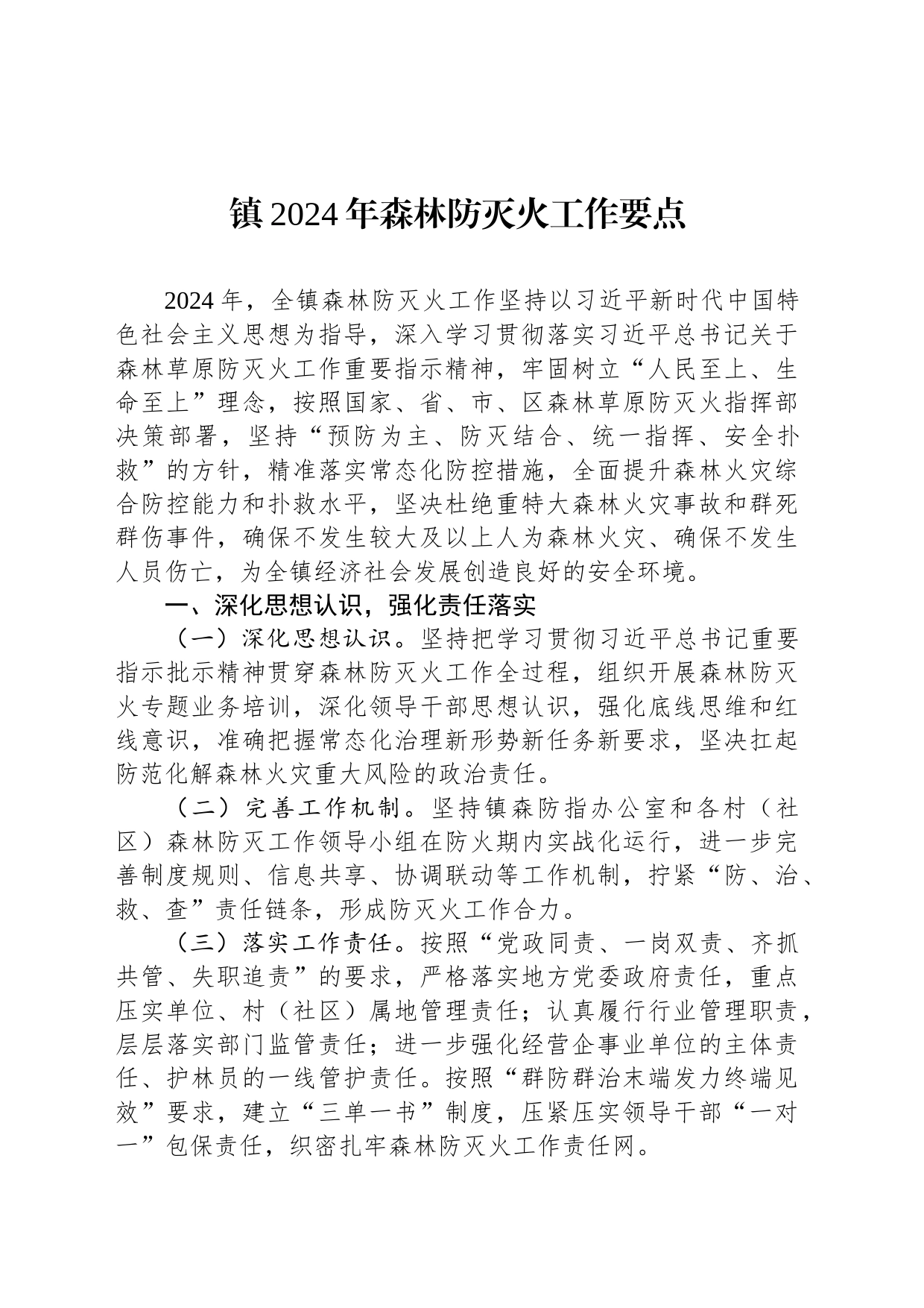 镇2024年森林防灭火工作要点_第1页