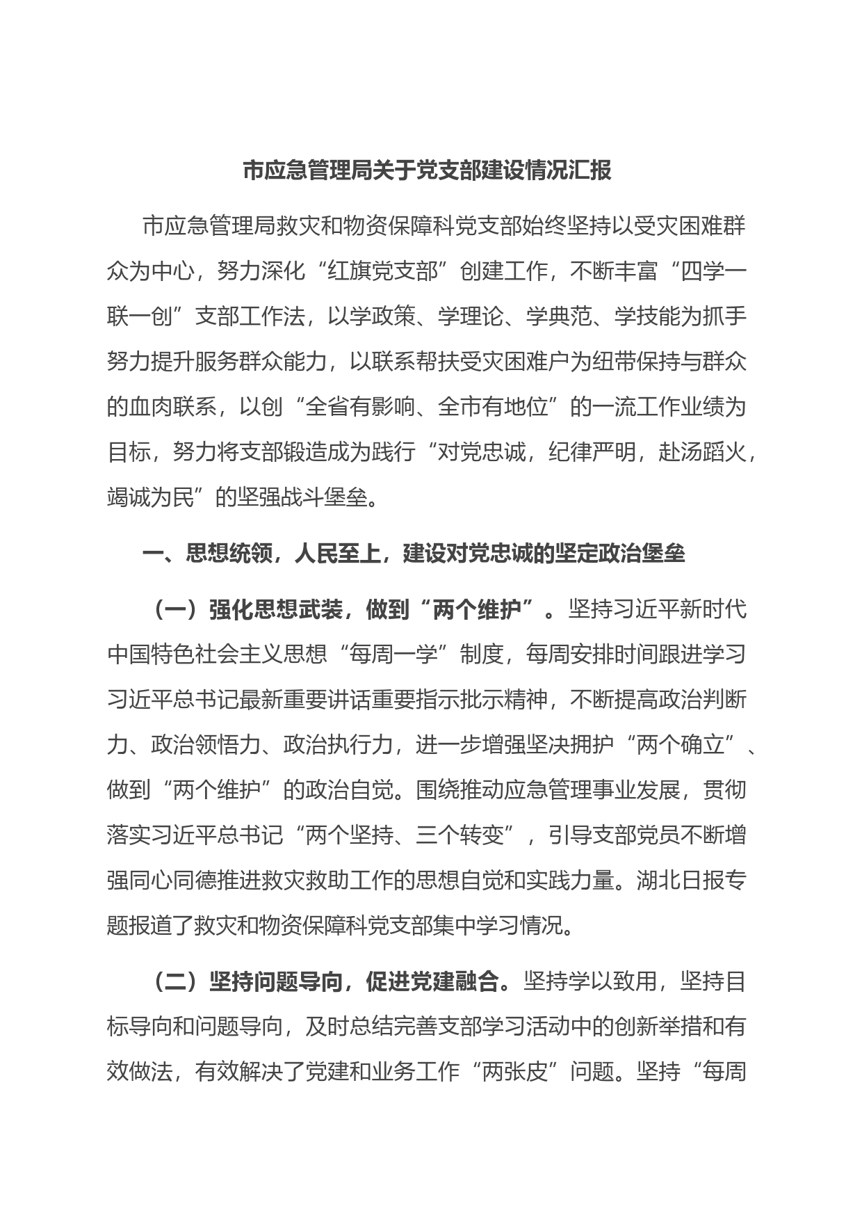 市应急管理局关于党支部建设情况汇报总结_第1页