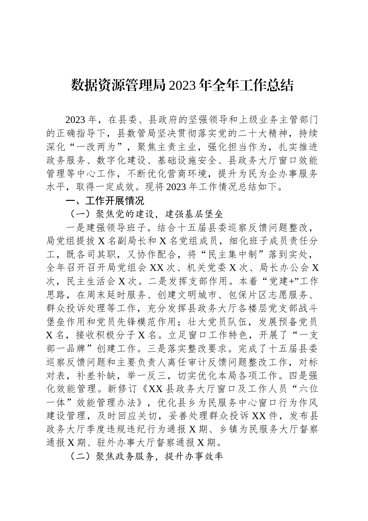 数据资源管理局2023年全年工作总结_第1页
