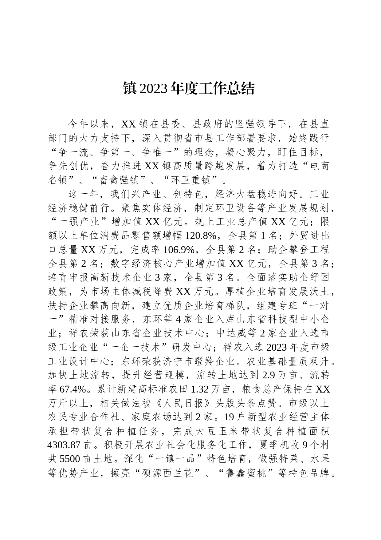 镇2023年度工作总结（20240206）_第1页