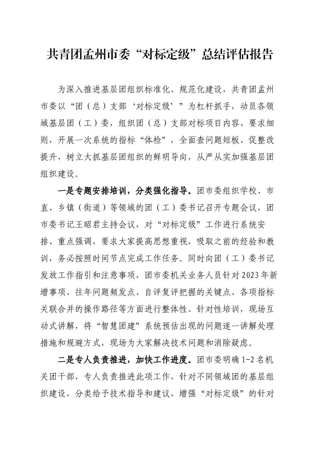 共青团市委“对标定级”总结评估报告_第1页