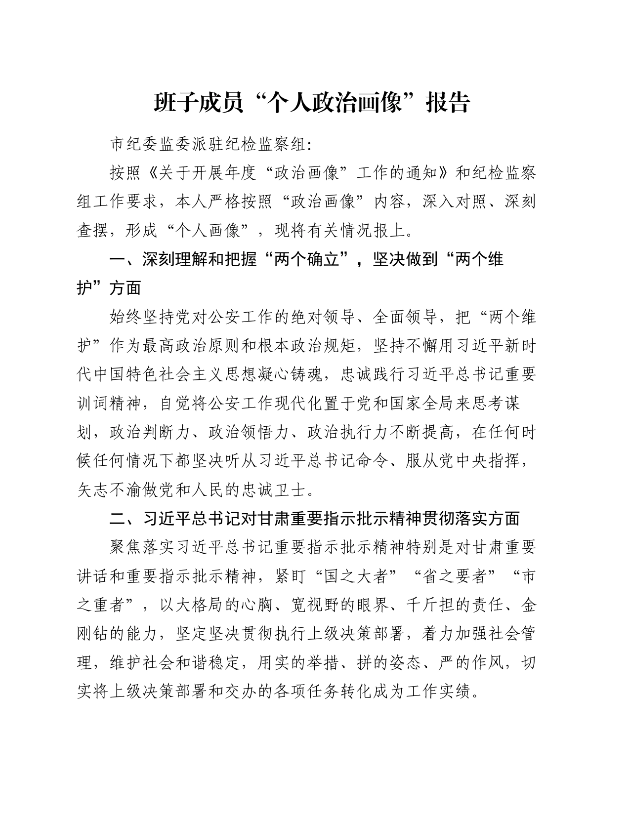 班子成员“个人政治画像”报告_第1页