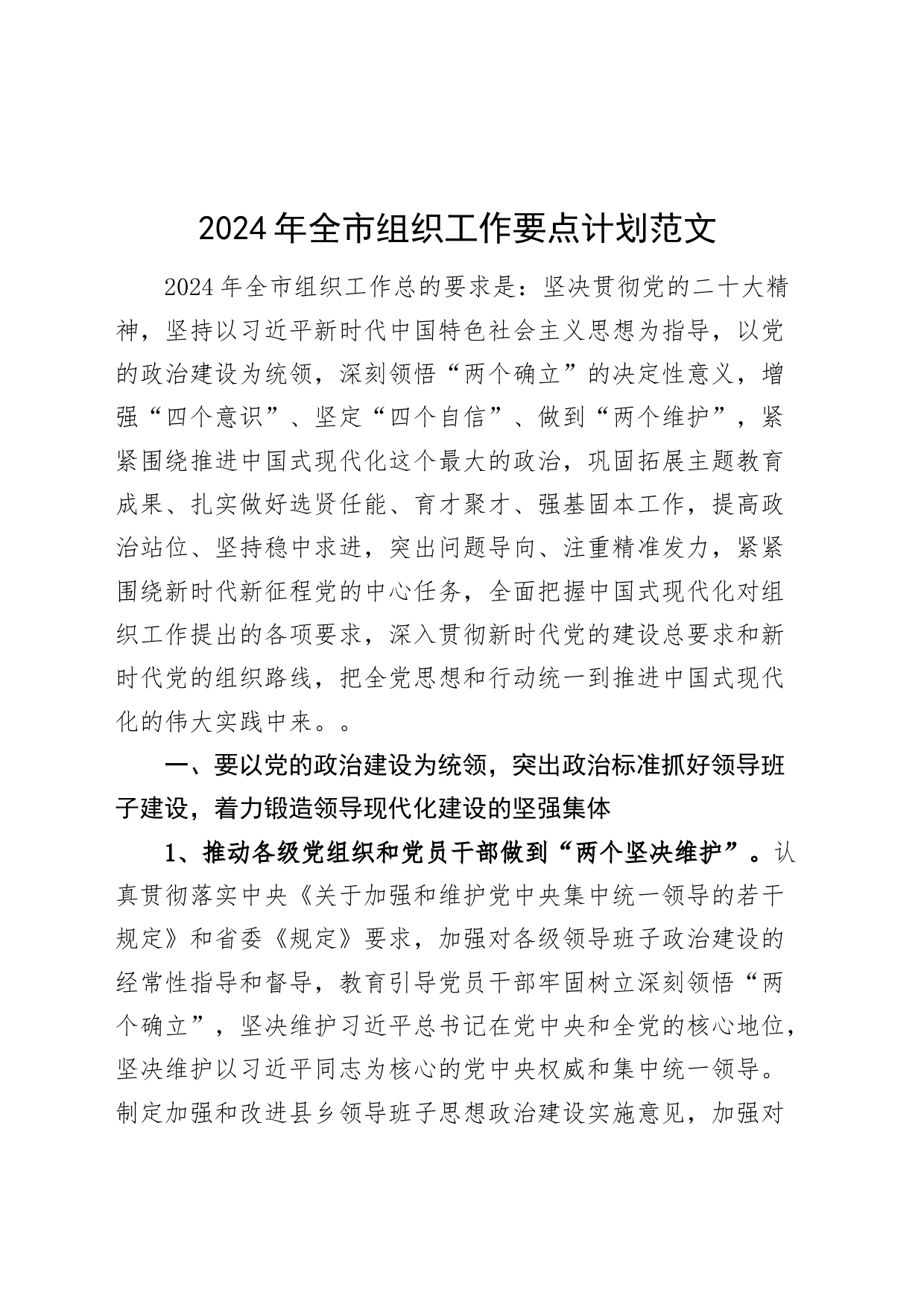 2024年市组织工作要点计划20240225_第1页