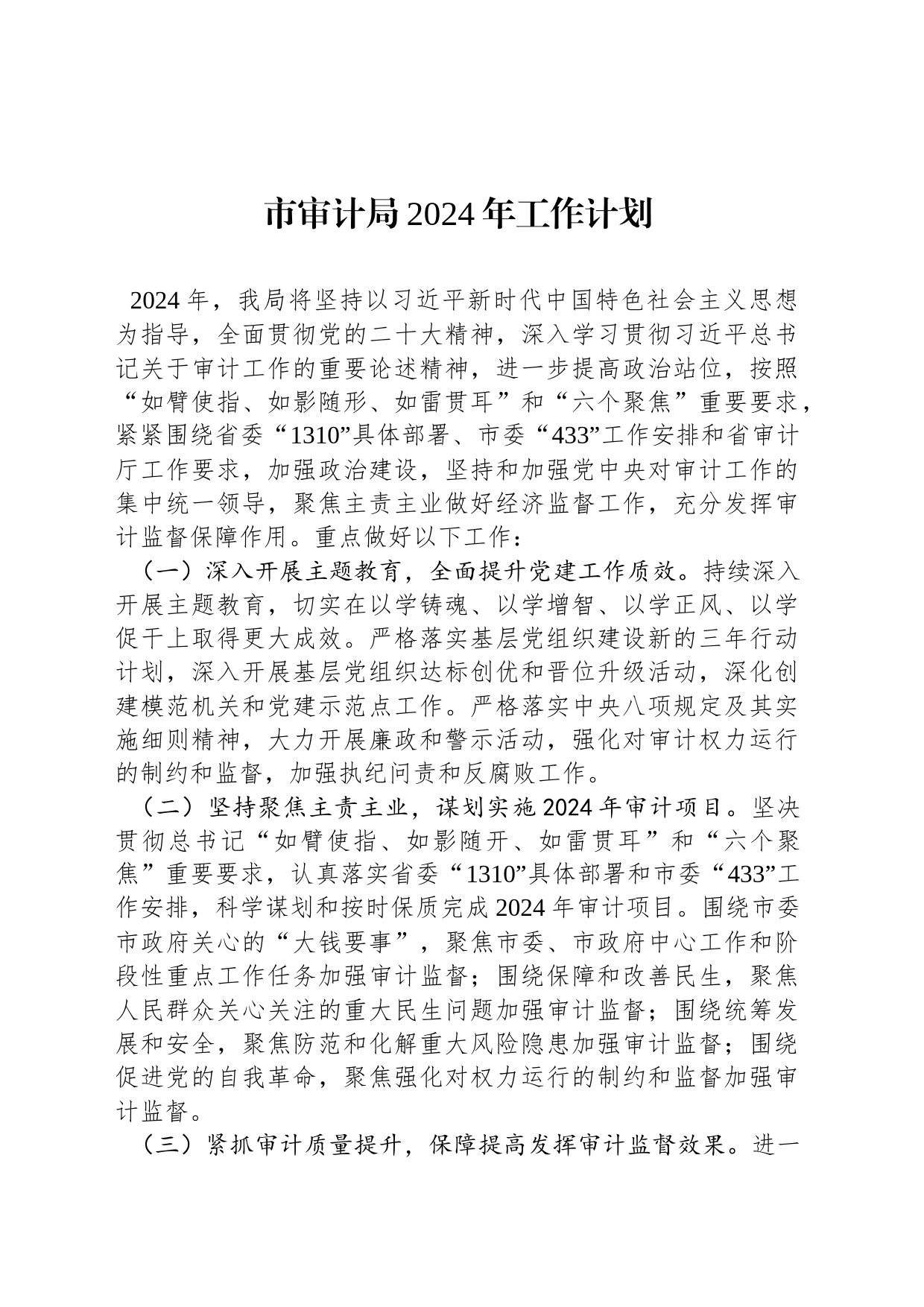 市审计局2024年工作计划_第1页