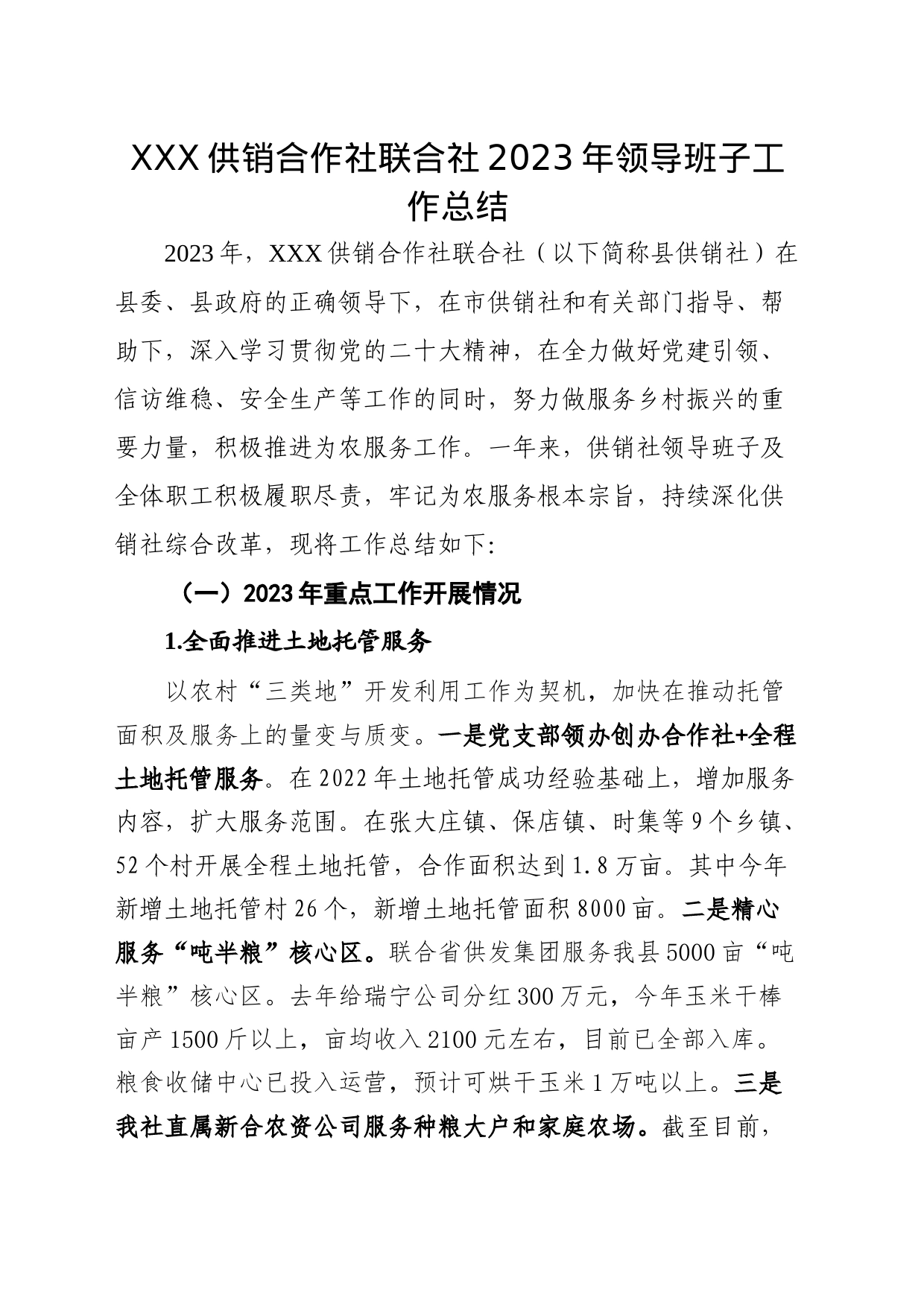 2023年度供销社领导班子总结_第1页
